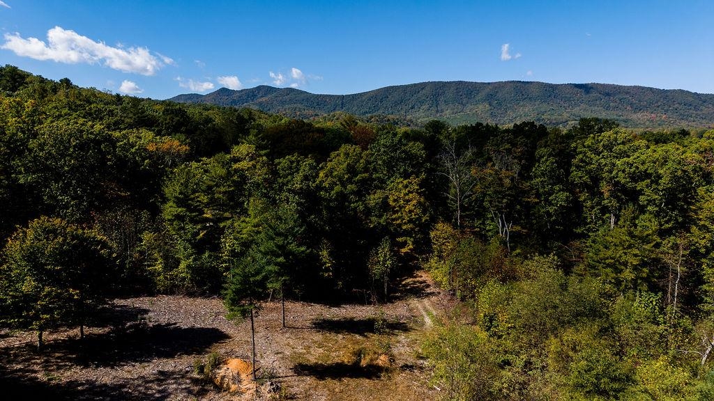 tbd OWL LN, LEXINGTON, Virginia 24450, ,Land,tbd OWL LN,682903 MLS # 682903 tbd OWL LN, LEXINGTON, Virginia 24450, ,Land,tbd OWL LN,682903 MLS # 682903