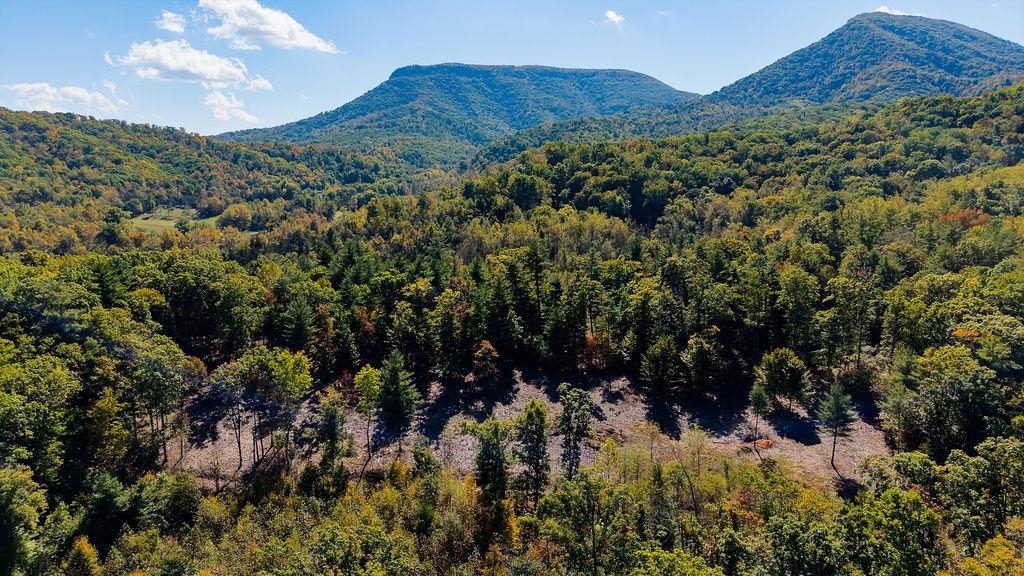 tbd OWL LN, LEXINGTON, Virginia 24450, ,Land,tbd OWL LN,682903 MLS # 682903 tbd OWL LN, LEXINGTON, Virginia 24450, ,Land,tbd OWL LN,682903 MLS # 682903