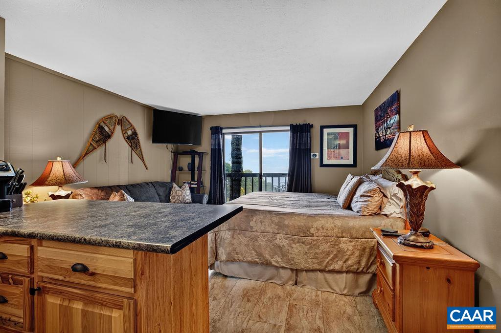 217 TIMBERS CONDOS, WINTERGREEN RESORT, Virginia 22967, 1 Bedroom Bedrooms, ,1 BathroomBathrooms,Residential,217 TIMBERS CONDOS,682911 MLS # 682911