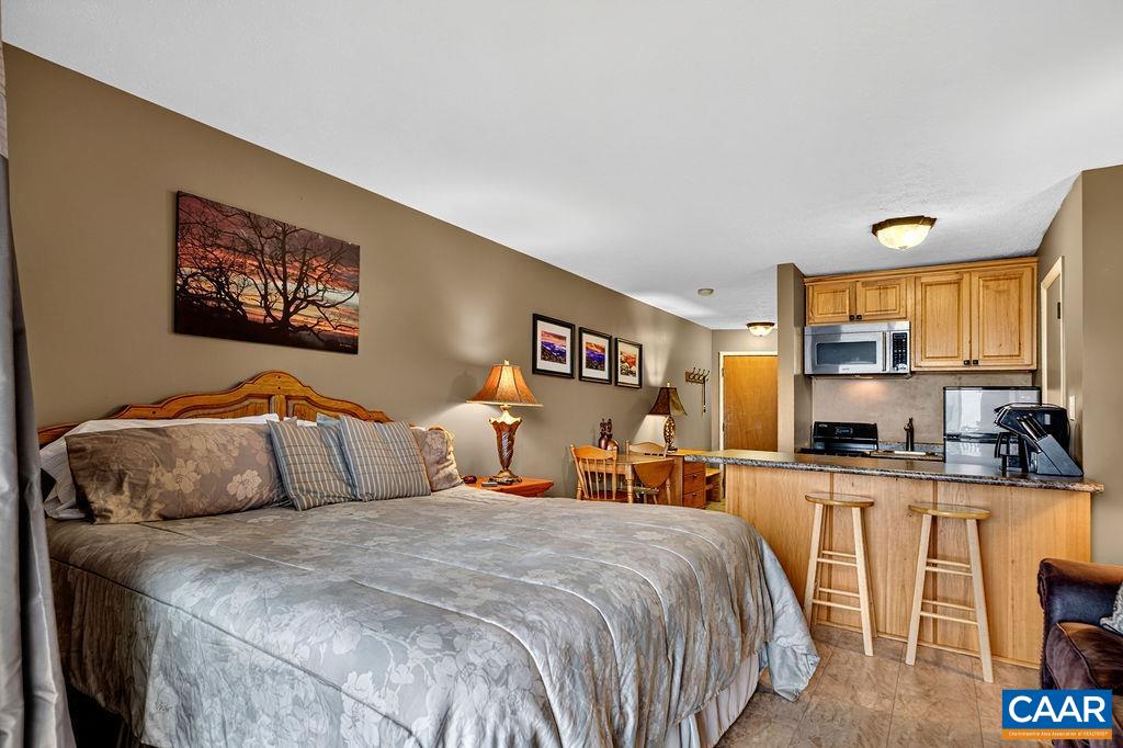 217 TIMBERS CONDOS, WINTERGREEN RESORT, Virginia 22967, 1 Bedroom Bedrooms, ,1 BathroomBathrooms,Residential,217 TIMBERS CONDOS,682911 MLS # 682911