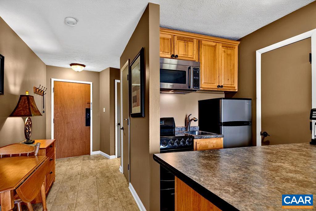 217 TIMBERS CONDOS, WINTERGREEN RESORT, Virginia 22967, 1 Bedroom Bedrooms, ,1 BathroomBathrooms,Residential,217 TIMBERS CONDOS,682911 MLS # 682911
