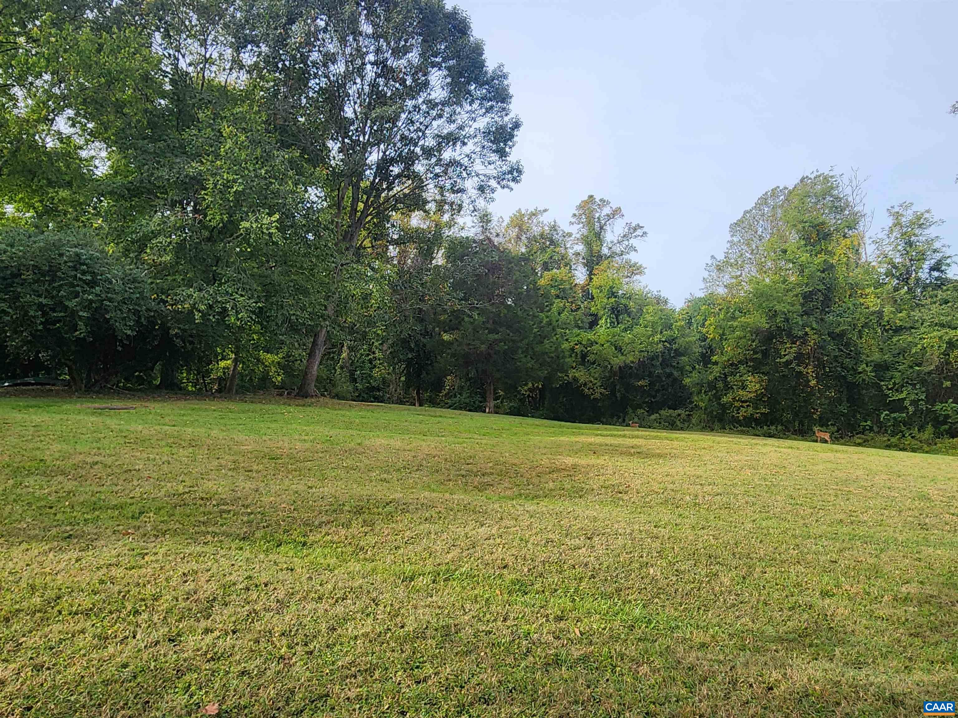 23 A OLD FARM RD, CHARLOTTESVILLE, Virginia 22903, ,Land,23 A OLD FARM RD,682919 MLS # 682919