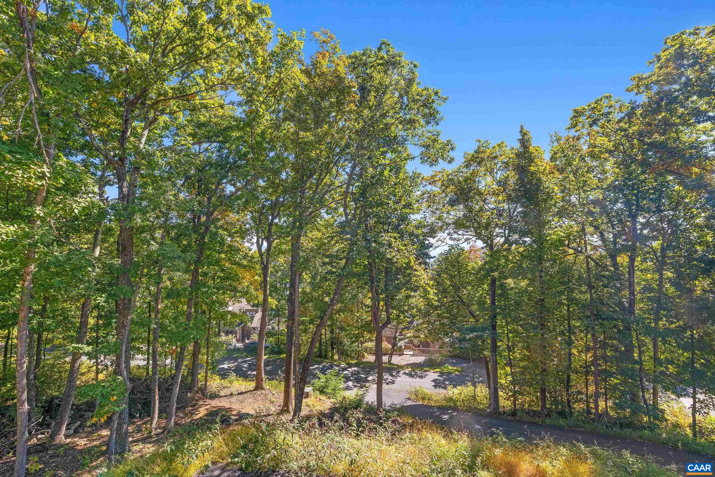 304 CHESTNUT PL, WINTERGREEN RESORT, Virginia 22967, 6 Bedrooms Bedrooms, ,3 BathroomsBathrooms,Residential,304 CHESTNUT PL,682901 MLS # 682901 304 CHESTNUT PL, WINTERGREEN RESORT, Virginia 22967, 6 Bedrooms Bedrooms, ,3 BathroomsBathrooms,Residential,304 CHESTNUT PL,682901 MLS # 682901