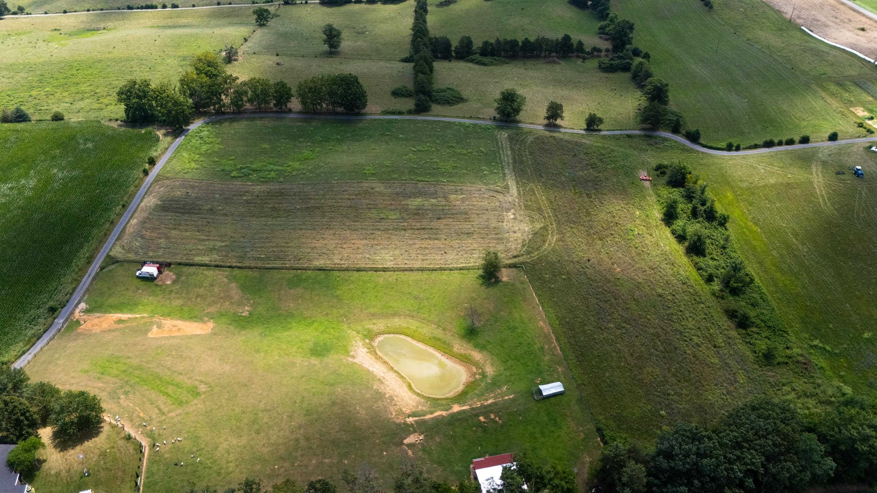 7 acres MAUZY ATHLONE RD, BROADWAY, Virginia 22815, ,Land,7 acres MAUZY ATHLONE RD,682922 MLS # 682922 7 acres MAUZY ATHLONE RD, BROADWAY, Virginia 22815, ,Land,7 acres MAUZY ATHLONE RD,682922 MLS # 682922
