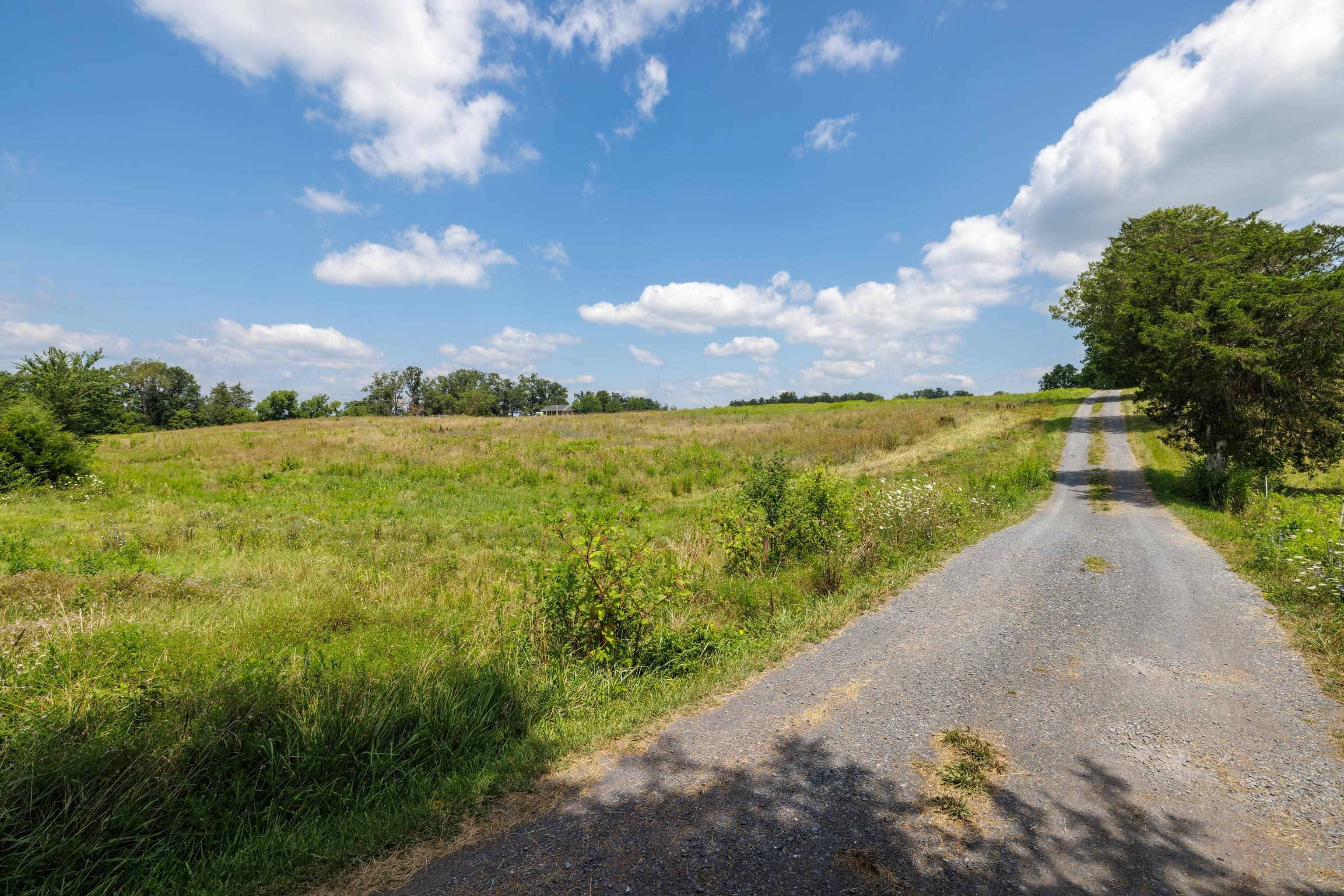 7 acres MAUZY ATHLONE RD, BROADWAY, Virginia 22815, ,Land,7 acres MAUZY ATHLONE RD,682922 MLS # 682922 7 acres MAUZY ATHLONE RD, BROADWAY, Virginia 22815, ,Land,7 acres MAUZY ATHLONE RD,682922 MLS # 682922