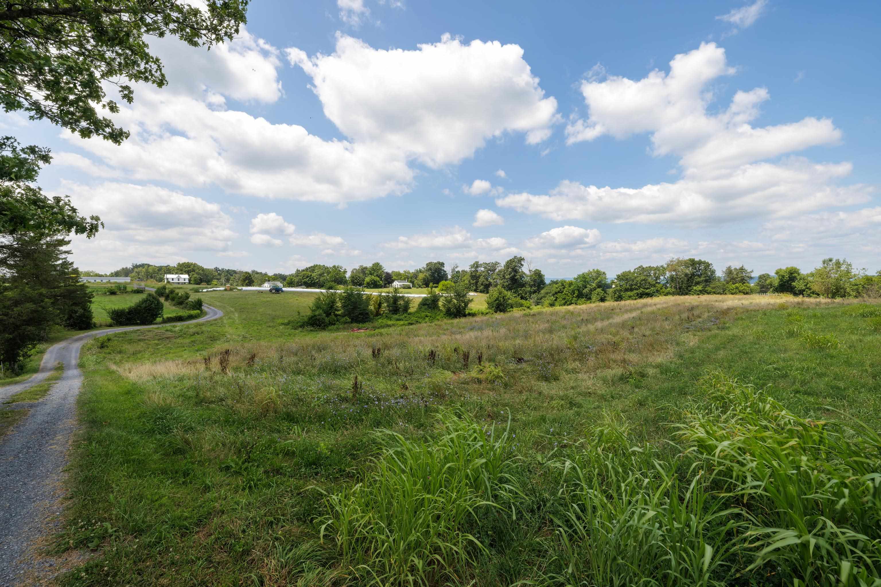 7 acres MAUZY ATHLONE RD, BROADWAY, Virginia 22815, ,Land,7 acres MAUZY ATHLONE RD,682922 MLS # 682922 7 acres MAUZY ATHLONE RD, BROADWAY, Virginia 22815, ,Land,7 acres MAUZY ATHLONE RD,682922 MLS # 682922