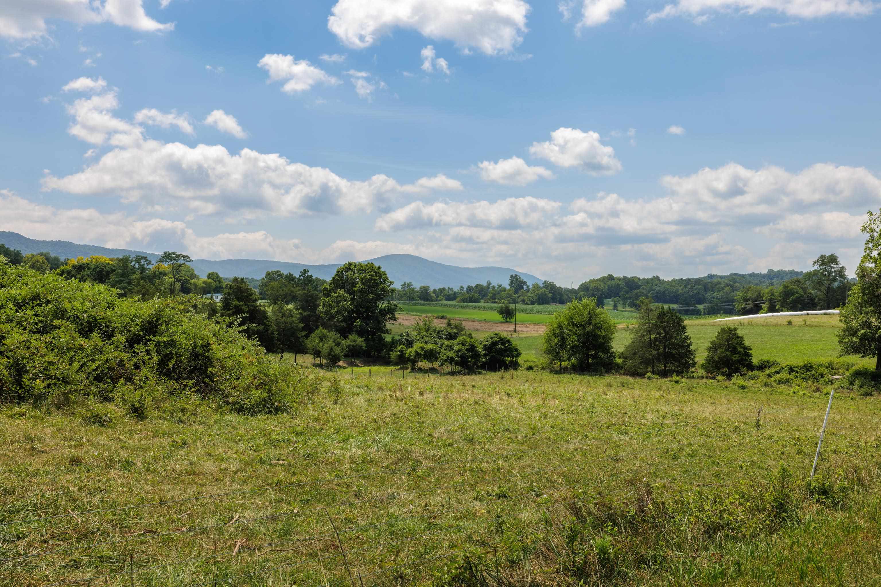 7 acres MAUZY ATHLONE RD, BROADWAY, Virginia 22815, ,Land,7 acres MAUZY ATHLONE RD,682922 MLS # 682922 7 acres MAUZY ATHLONE RD, BROADWAY, Virginia 22815, ,Land,7 acres MAUZY ATHLONE RD,682922 MLS # 682922