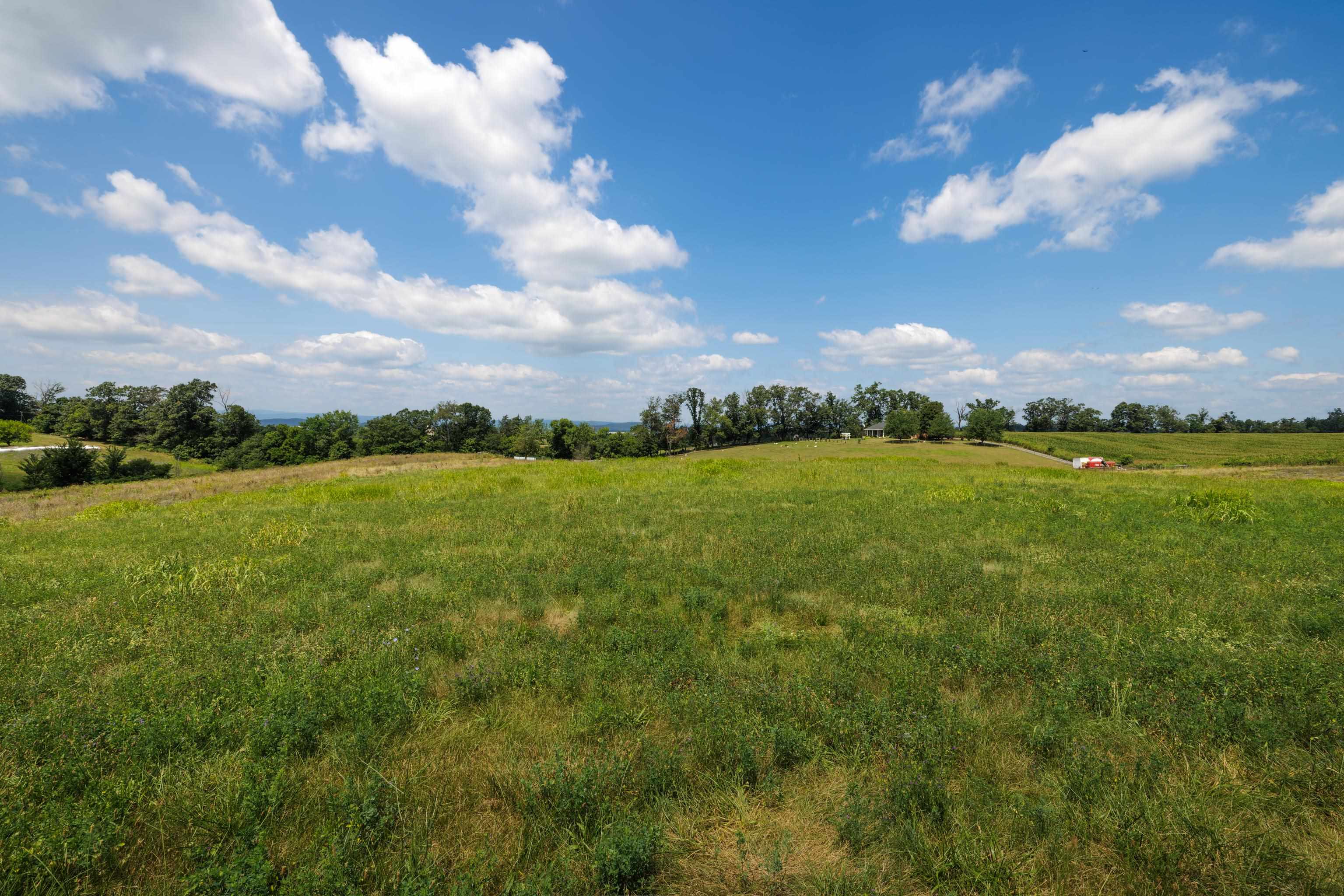 7 acres MAUZY ATHLONE RD, BROADWAY, Virginia 22815, ,Land,7 acres MAUZY ATHLONE RD,682922 MLS # 682922 7 acres MAUZY ATHLONE RD, BROADWAY, Virginia 22815, ,Land,7 acres MAUZY ATHLONE RD,682922 MLS # 682922