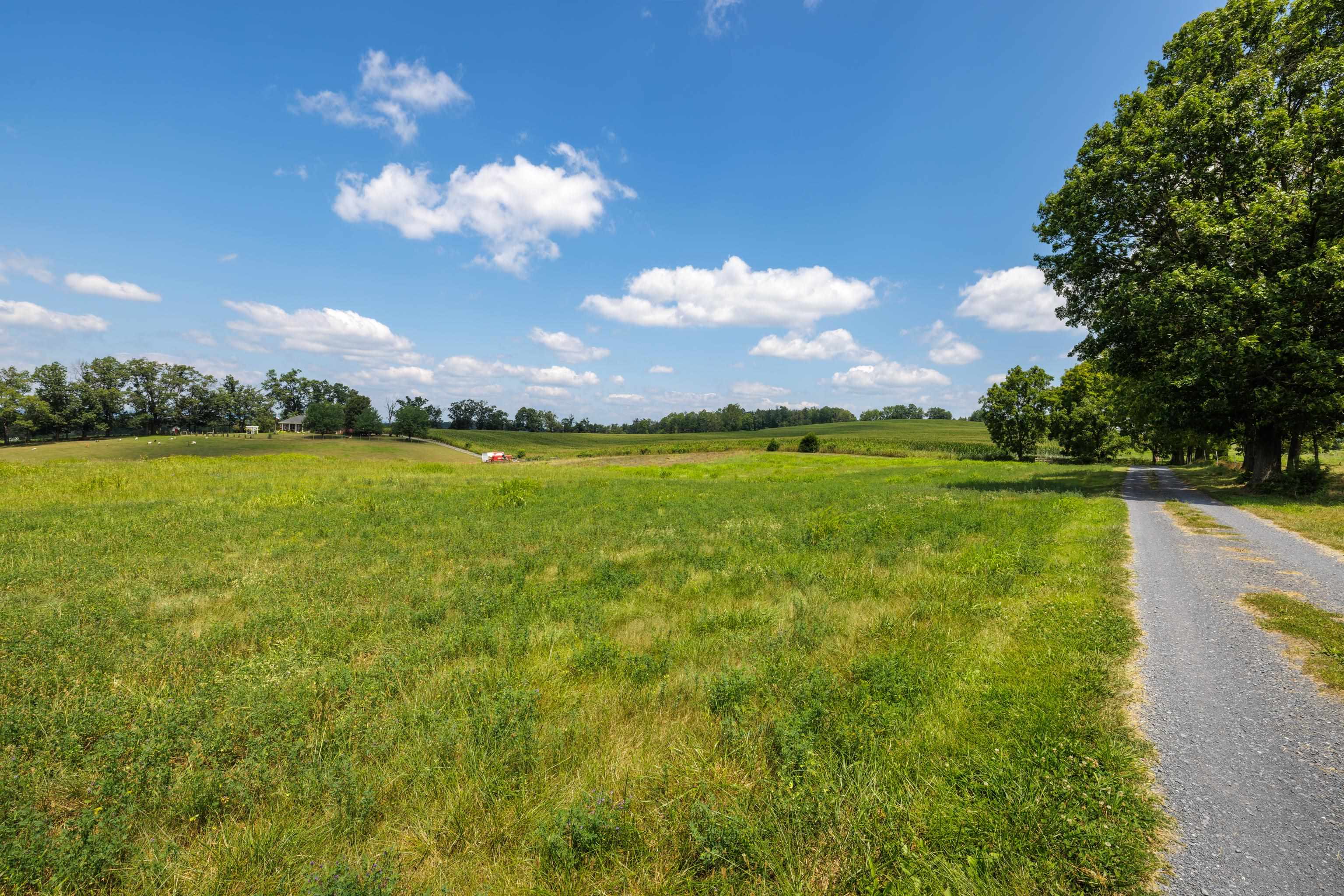 7 acres MAUZY ATHLONE RD, BROADWAY, Virginia 22815, ,Land,7 acres MAUZY ATHLONE RD,682922 MLS # 682922 7 acres MAUZY ATHLONE RD, BROADWAY, Virginia 22815, ,Land,7 acres MAUZY ATHLONE RD,682922 MLS # 682922