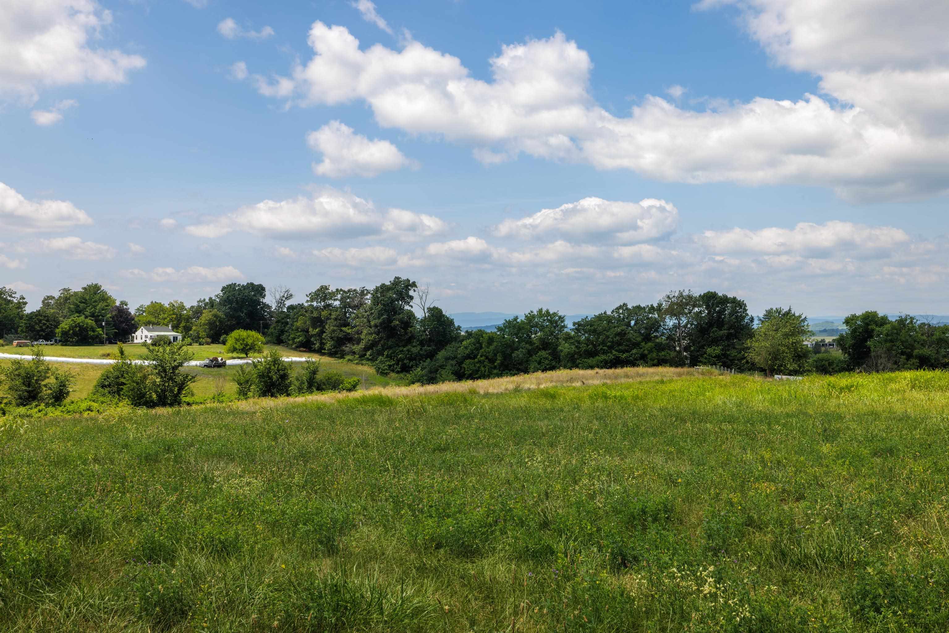 7 acres MAUZY ATHLONE RD, BROADWAY, Virginia 22815, ,Land,7 acres MAUZY ATHLONE RD,682922 MLS # 682922 7 acres MAUZY ATHLONE RD, BROADWAY, Virginia 22815, ,Land,7 acres MAUZY ATHLONE RD,682922 MLS # 682922