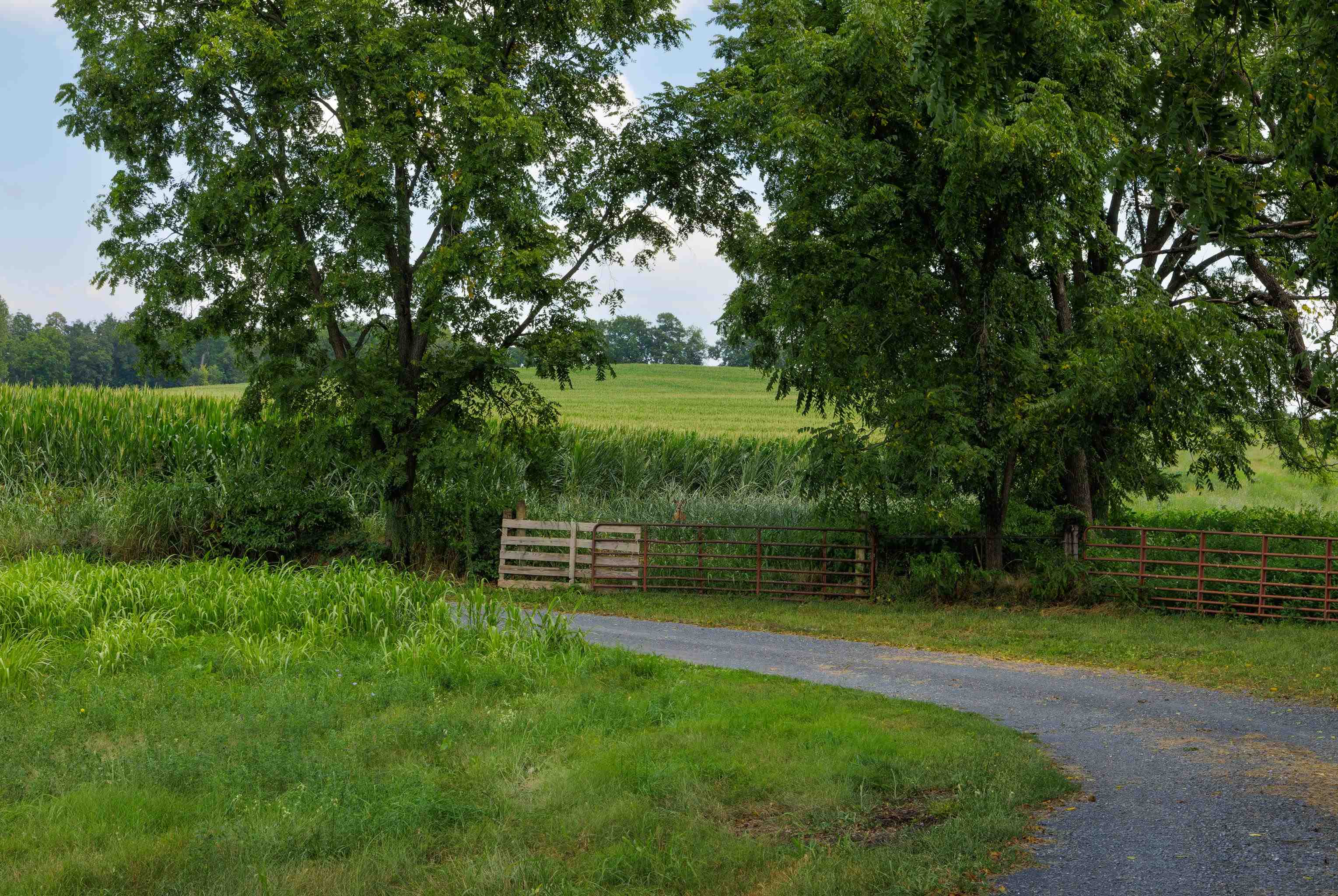 7 acres MAUZY ATHLONE RD, BROADWAY, Virginia 22815, ,Land,7 acres MAUZY ATHLONE RD,682922 MLS # 682922 7 acres MAUZY ATHLONE RD, BROADWAY, Virginia 22815, ,Land,7 acres MAUZY ATHLONE RD,682922 MLS # 682922