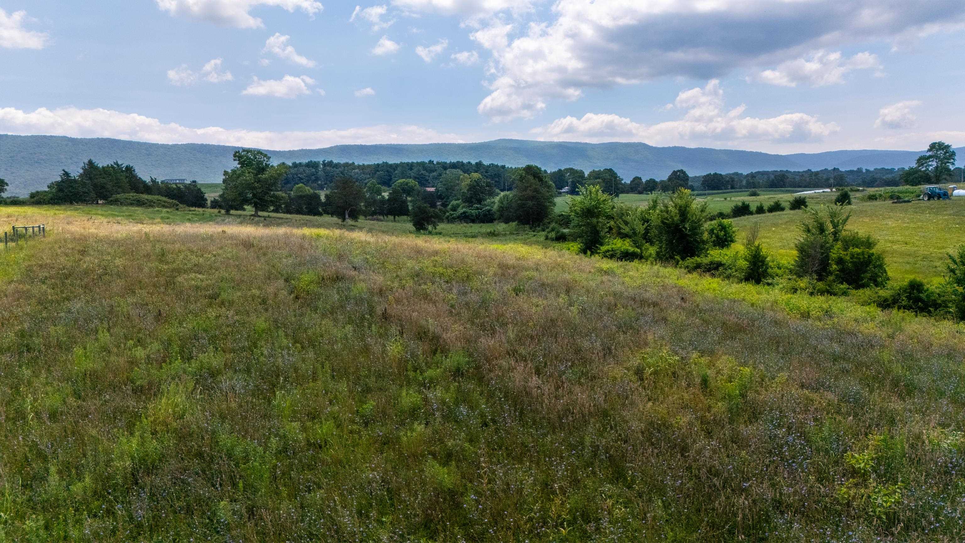 7 acres MAUZY ATHLONE RD, BROADWAY, Virginia 22815, ,Land,7 acres MAUZY ATHLONE RD,682922 MLS # 682922 7 acres MAUZY ATHLONE RD, BROADWAY, Virginia 22815, ,Land,7 acres MAUZY ATHLONE RD,682922 MLS # 682922