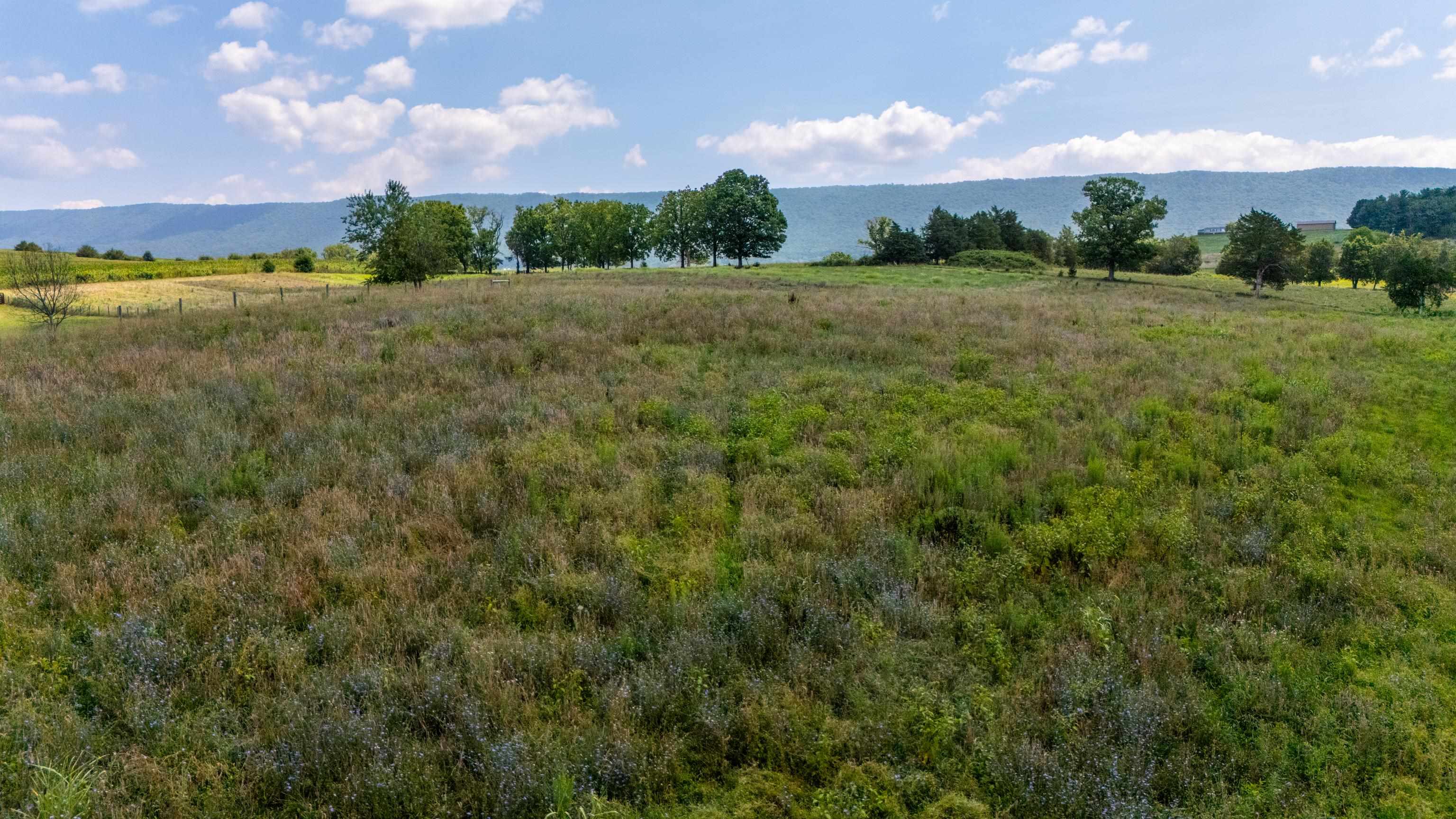 7 acres MAUZY ATHLONE RD, BROADWAY, Virginia 22815, ,Land,7 acres MAUZY ATHLONE RD,682922 MLS # 682922 7 acres MAUZY ATHLONE RD, BROADWAY, Virginia 22815, ,Land,7 acres MAUZY ATHLONE RD,682922 MLS # 682922