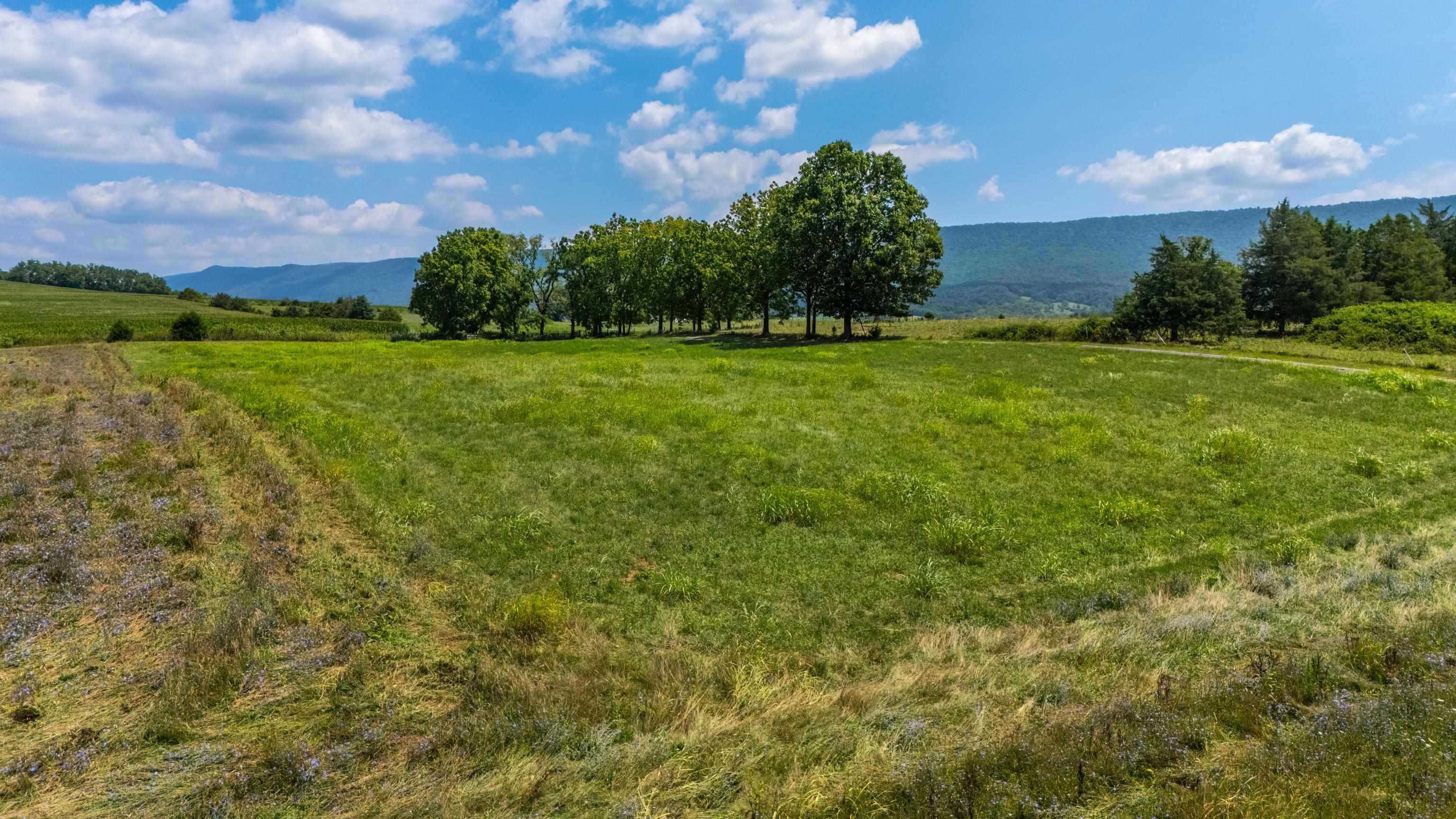 7 acres MAUZY ATHLONE RD, BROADWAY, Virginia 22815, ,Land,7 acres MAUZY ATHLONE RD,682922 MLS # 682922 7 acres MAUZY ATHLONE RD, BROADWAY, Virginia 22815, ,Land,7 acres MAUZY ATHLONE RD,682922 MLS # 682922