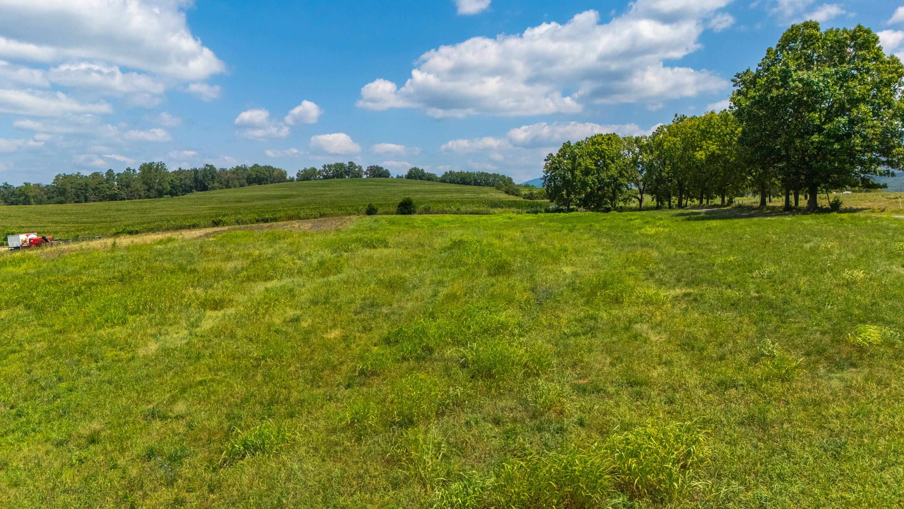 7 acres MAUZY ATHLONE RD, BROADWAY, Virginia 22815, ,Land,7 acres MAUZY ATHLONE RD,682922 MLS # 682922 7 acres MAUZY ATHLONE RD, BROADWAY, Virginia 22815, ,Land,7 acres MAUZY ATHLONE RD,682922 MLS # 682922