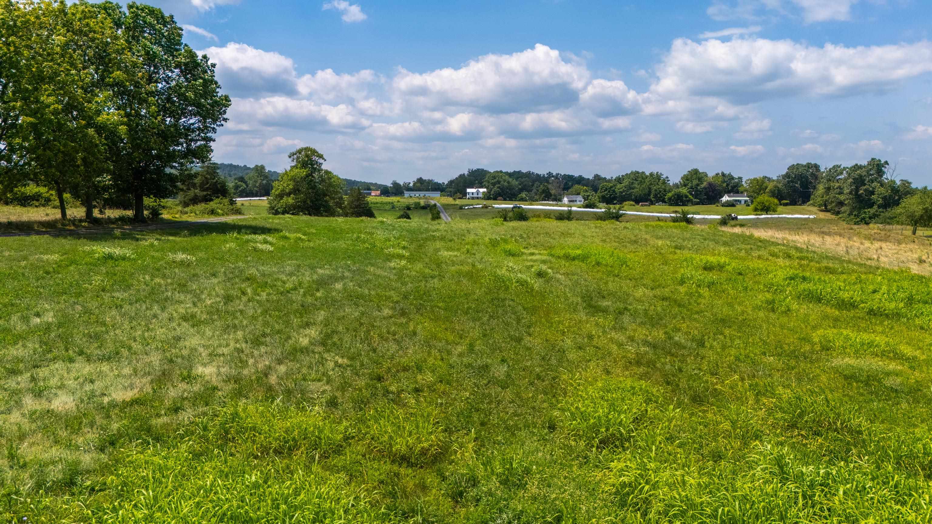 7 acres MAUZY ATHLONE RD, BROADWAY, Virginia 22815, ,Land,7 acres MAUZY ATHLONE RD,682922 MLS # 682922 7 acres MAUZY ATHLONE RD, BROADWAY, Virginia 22815, ,Land,7 acres MAUZY ATHLONE RD,682922 MLS # 682922