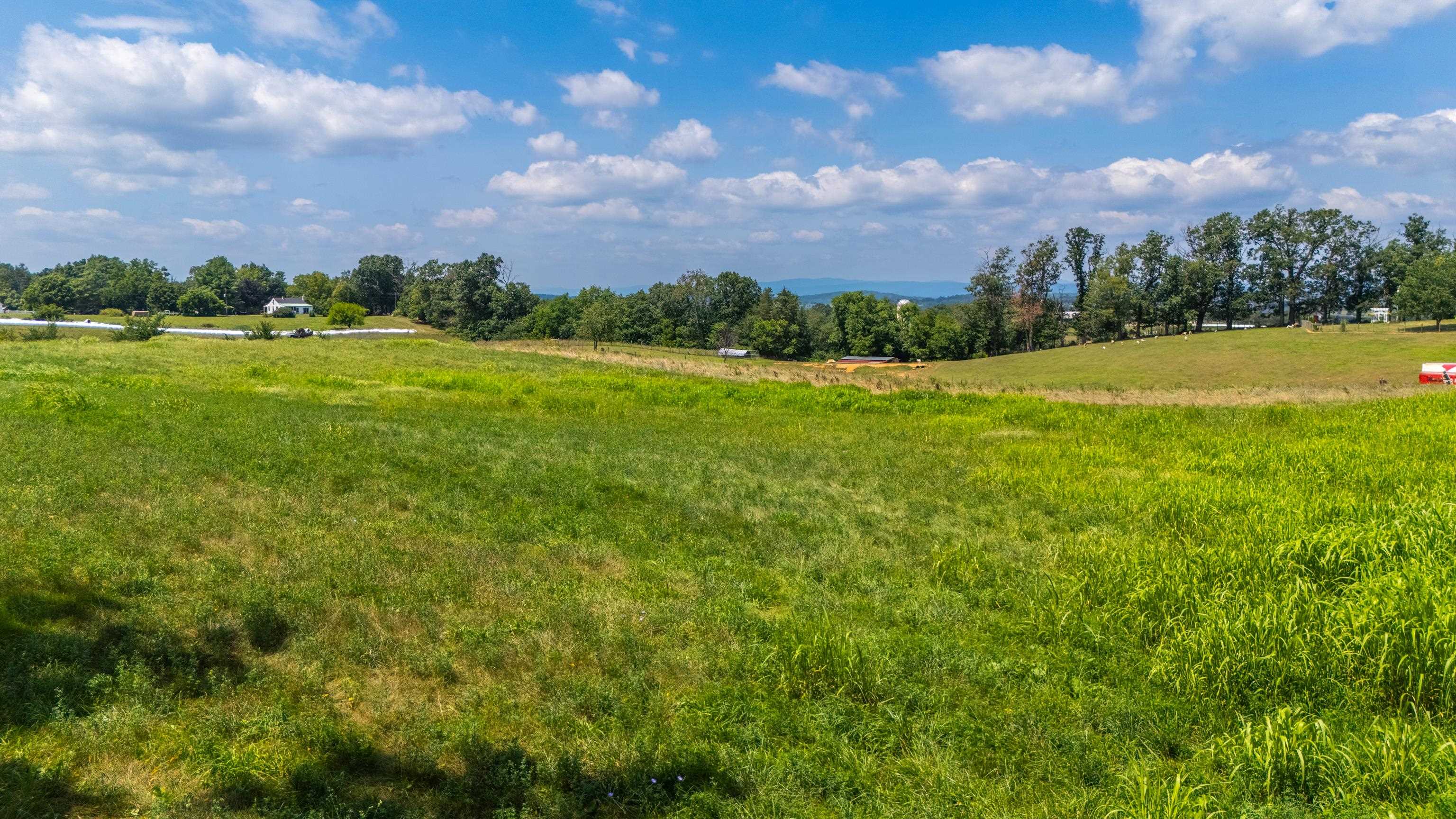 7 acres MAUZY ATHLONE RD, BROADWAY, Virginia 22815, ,Land,7 acres MAUZY ATHLONE RD,682922 MLS # 682922 7 acres MAUZY ATHLONE RD, BROADWAY, Virginia 22815, ,Land,7 acres MAUZY ATHLONE RD,682922 MLS # 682922
