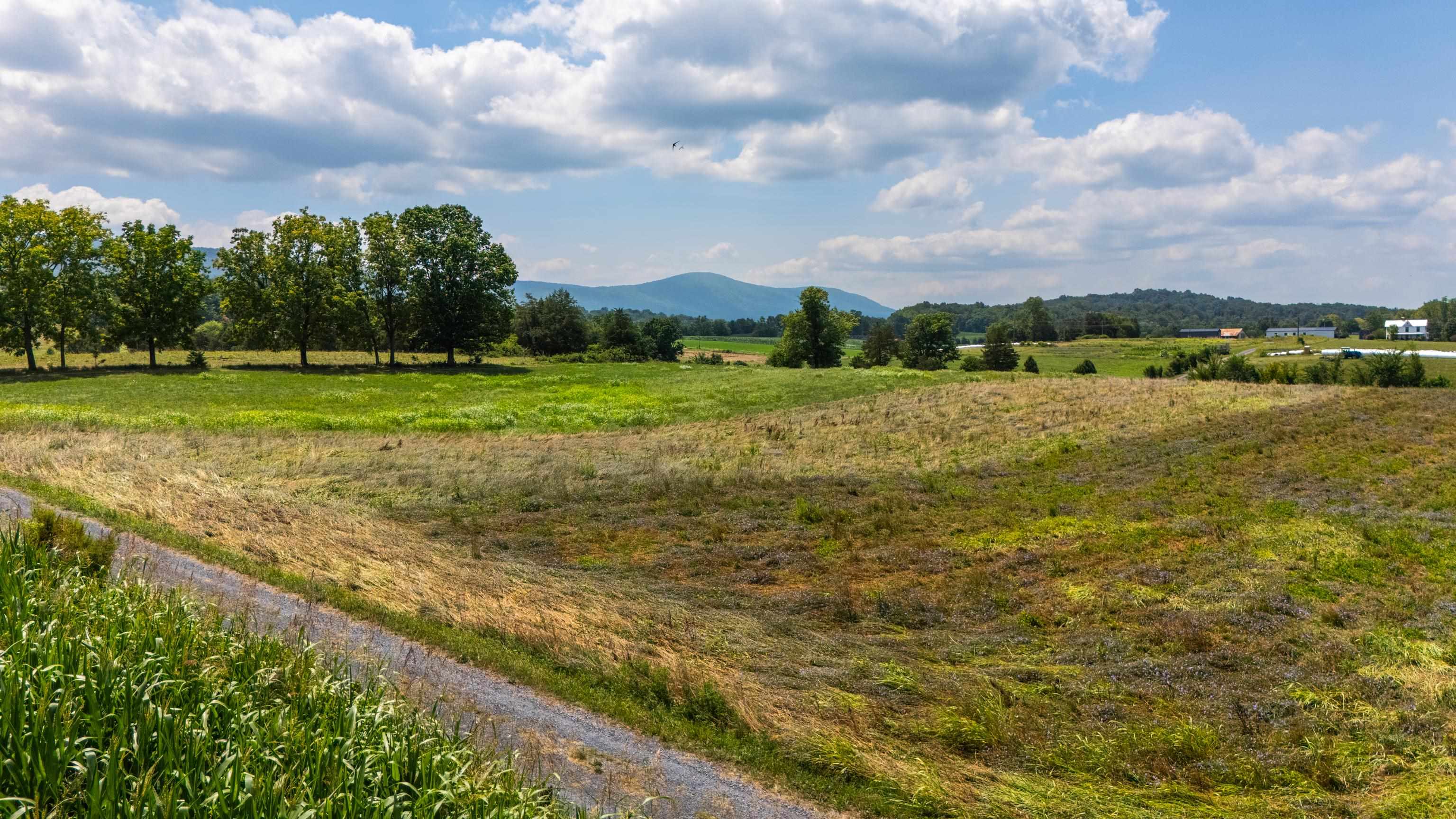 7 acres MAUZY ATHLONE RD, BROADWAY, Virginia 22815, ,Land,7 acres MAUZY ATHLONE RD,682922 MLS # 682922 7 acres MAUZY ATHLONE RD, BROADWAY, Virginia 22815, ,Land,7 acres MAUZY ATHLONE RD,682922 MLS # 682922
