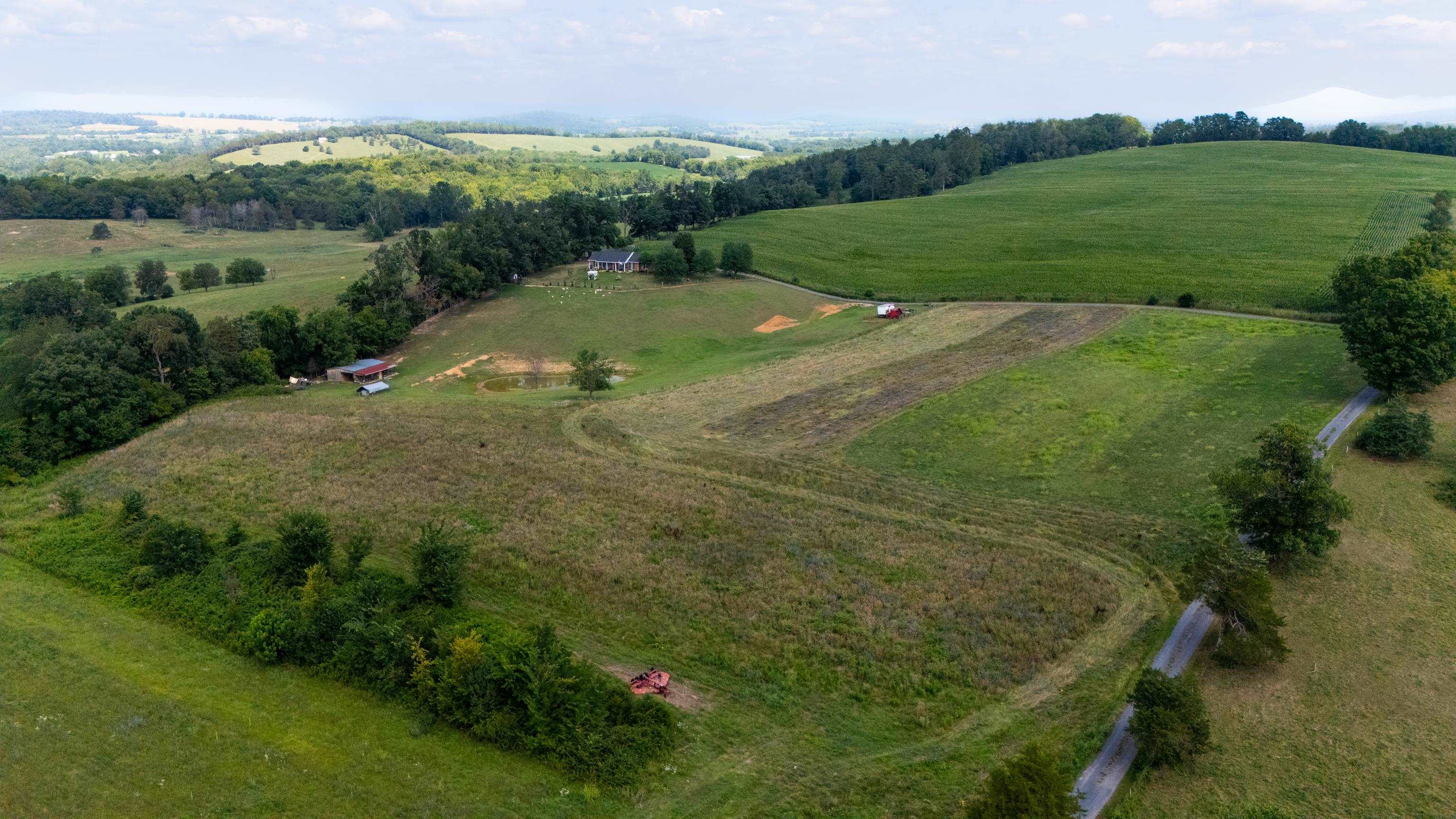 7 acres MAUZY ATHLONE RD, BROADWAY, Virginia 22815, ,Land,7 acres MAUZY ATHLONE RD,682922 MLS # 682922 7 acres MAUZY ATHLONE RD, BROADWAY, Virginia 22815, ,Land,7 acres MAUZY ATHLONE RD,682922 MLS # 682922
