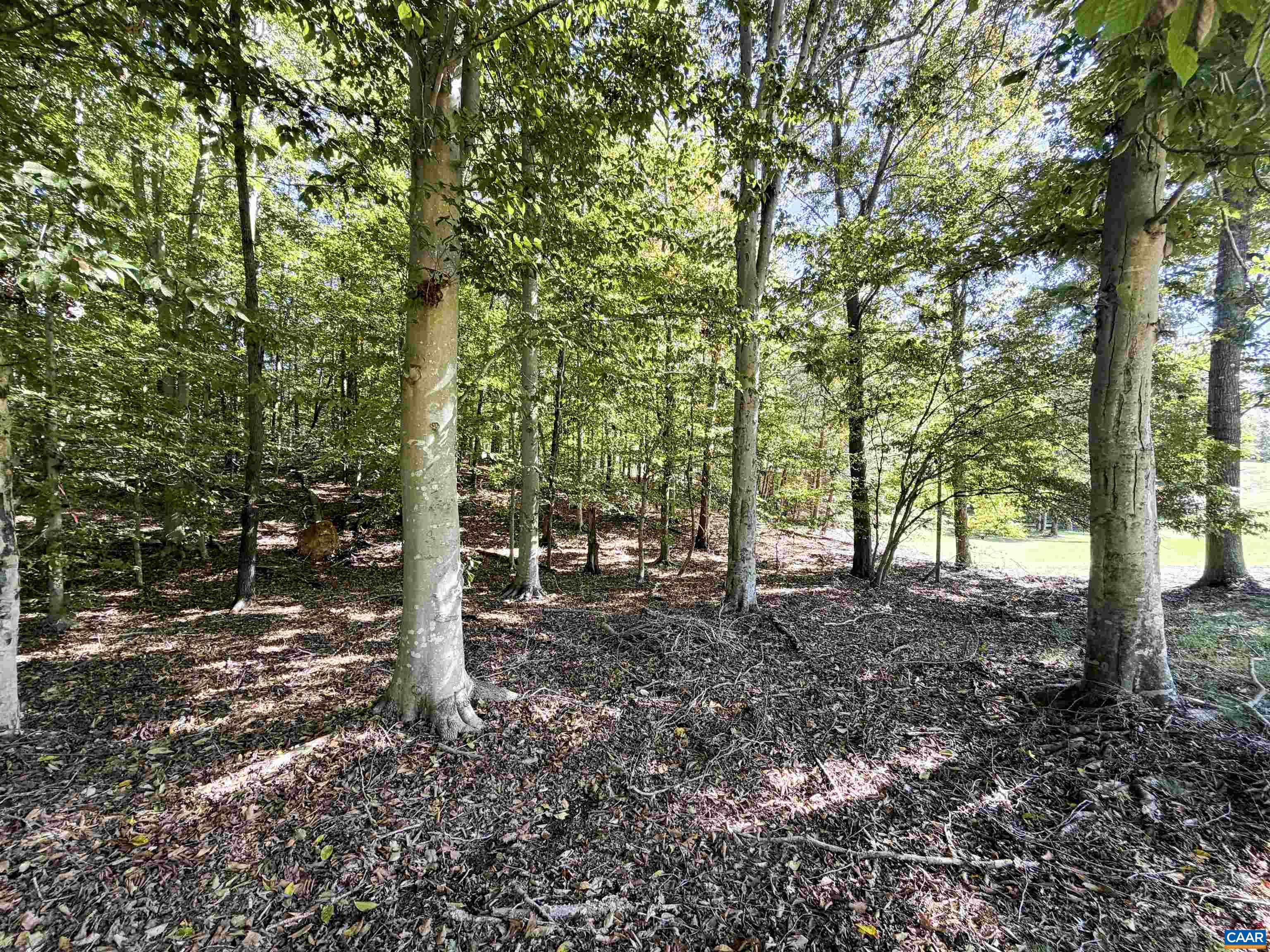 0 WELLESLEY KNLS, KESWICK, Virginia 22947, ,Land,0 WELLESLEY KNLS,682963 MLS # 682963
