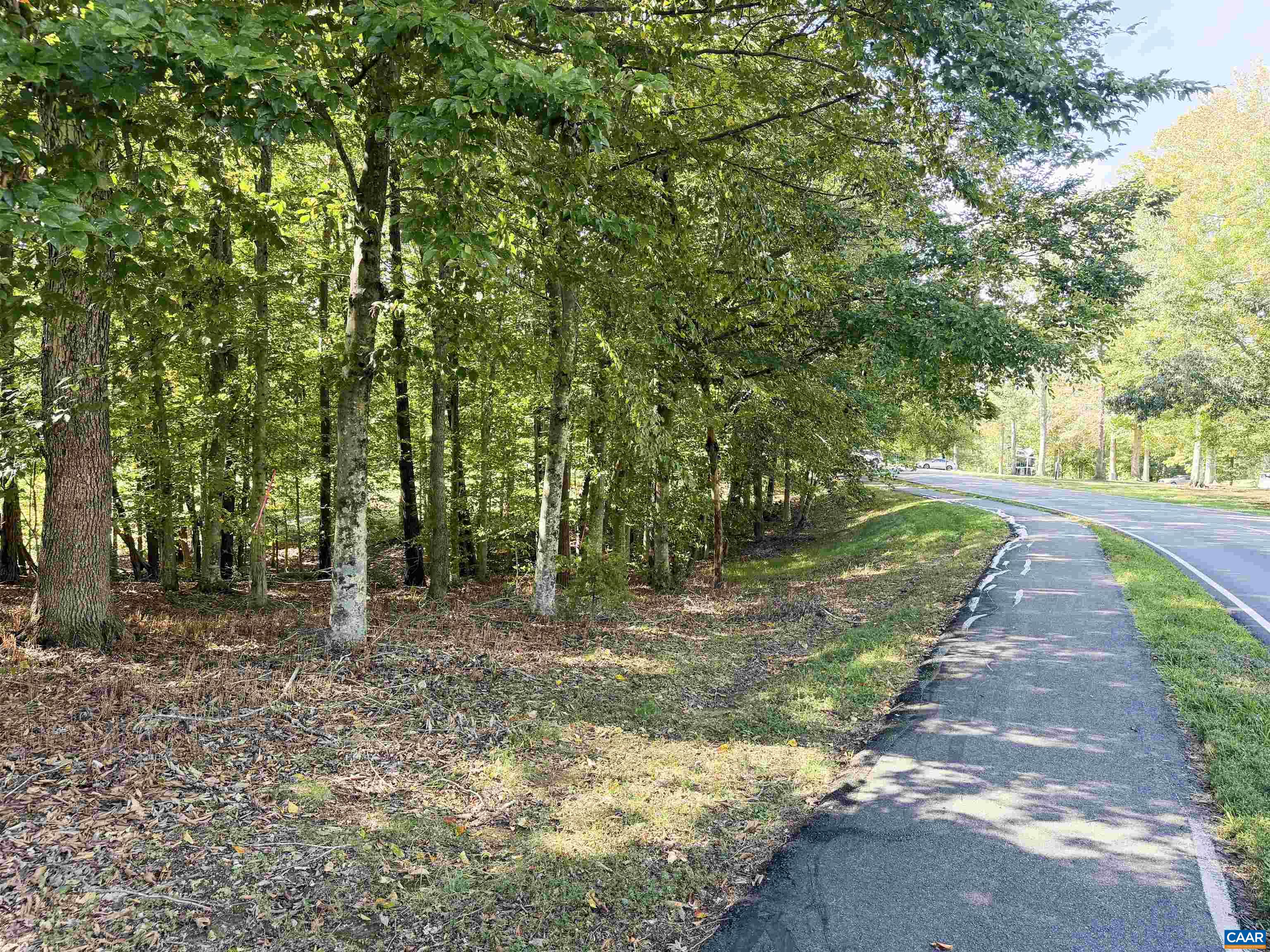 0 WELLESLEY KNLS, KESWICK, Virginia 22947, ,Land,0 WELLESLEY KNLS,682963 MLS # 682963