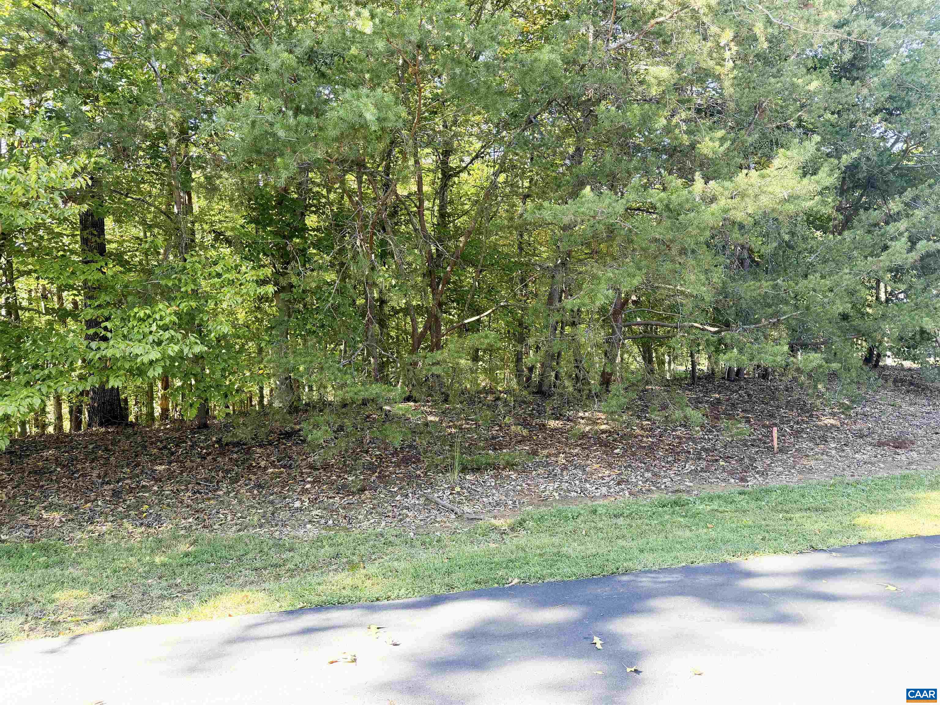 0 WELLESLEY KNLS, KESWICK, Virginia 22947, ,Land,0 WELLESLEY KNLS,682963 MLS # 682963