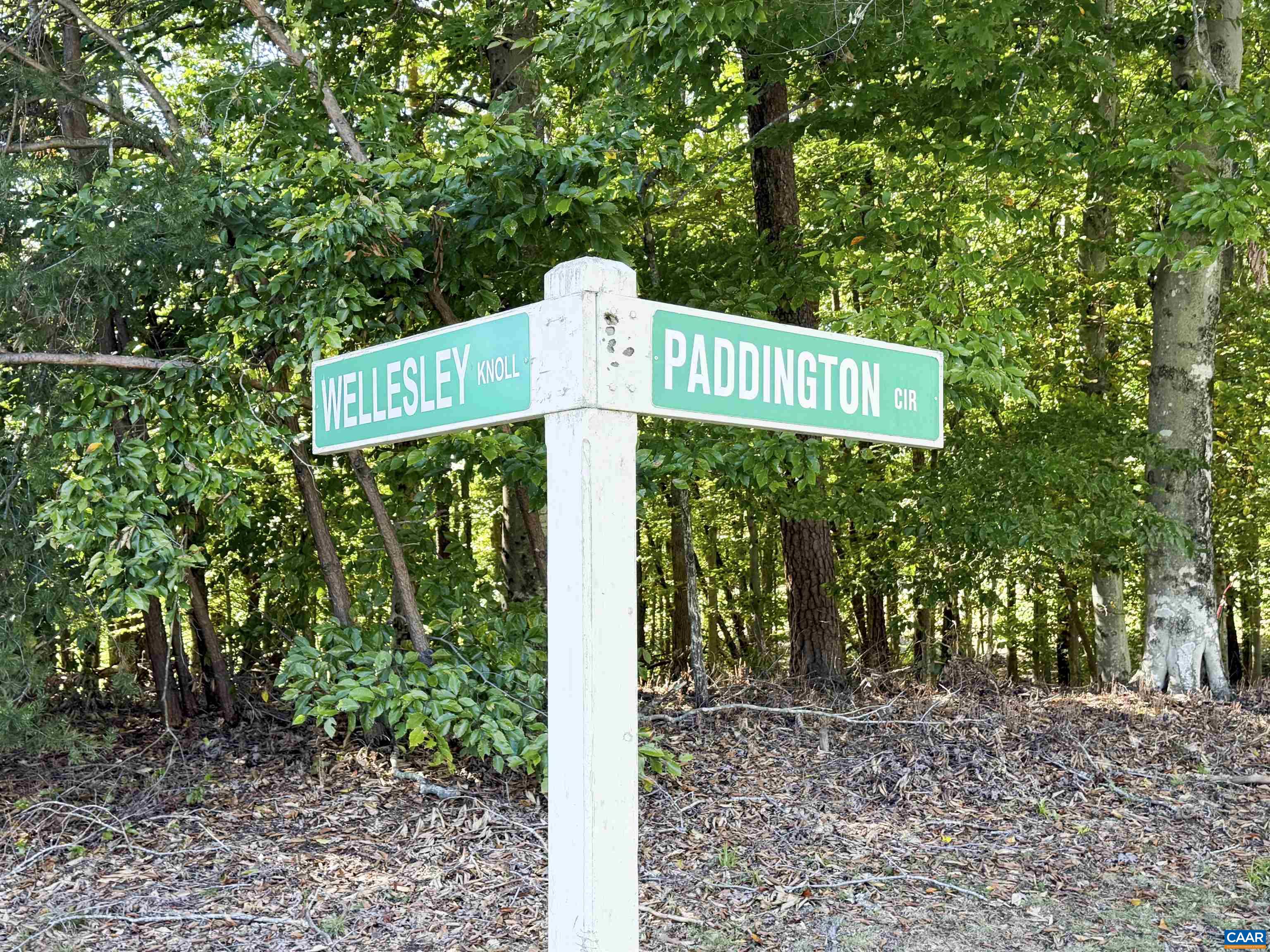 0 WELLESLEY KNLS, KESWICK, Virginia 22947, ,Land,0 WELLESLEY KNLS,682963 MLS # 682963