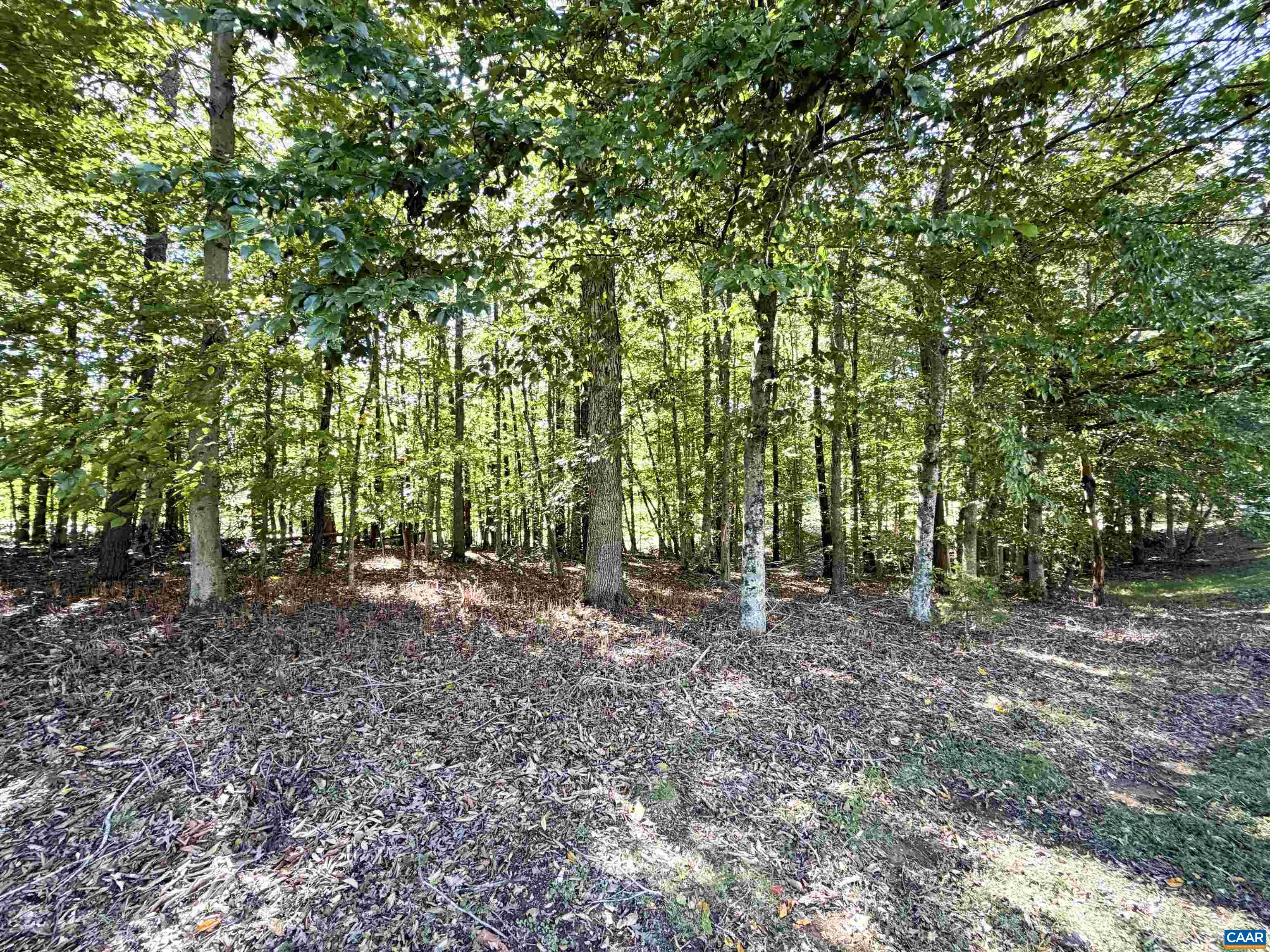 0 WELLESLEY KNLS, KESWICK, Virginia 22947, ,Land,0 WELLESLEY KNLS,682963 MLS # 682963