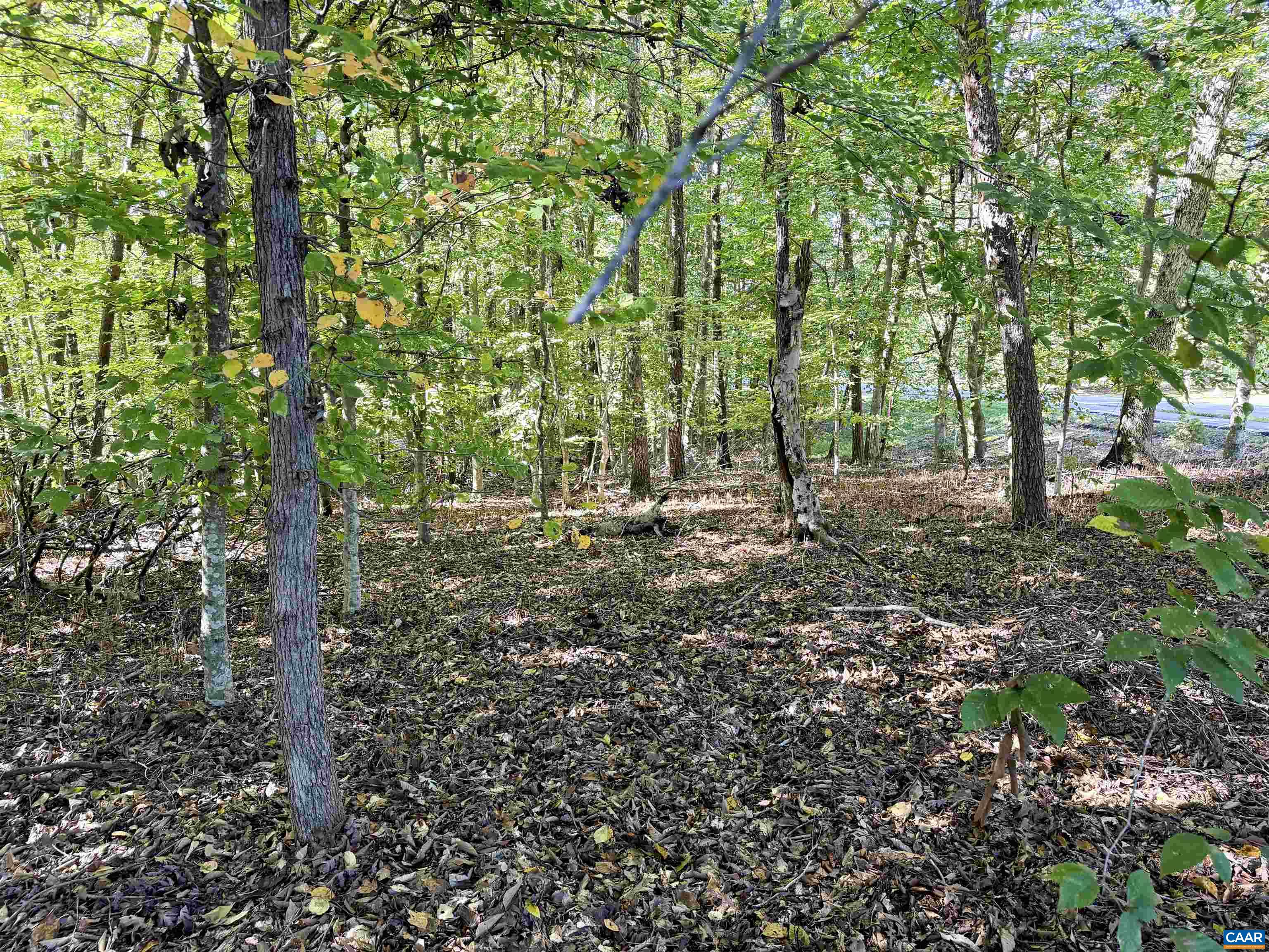 0 WELLESLEY KNLS, KESWICK, Virginia 22947, ,Land,0 WELLESLEY KNLS,682963 MLS # 682963