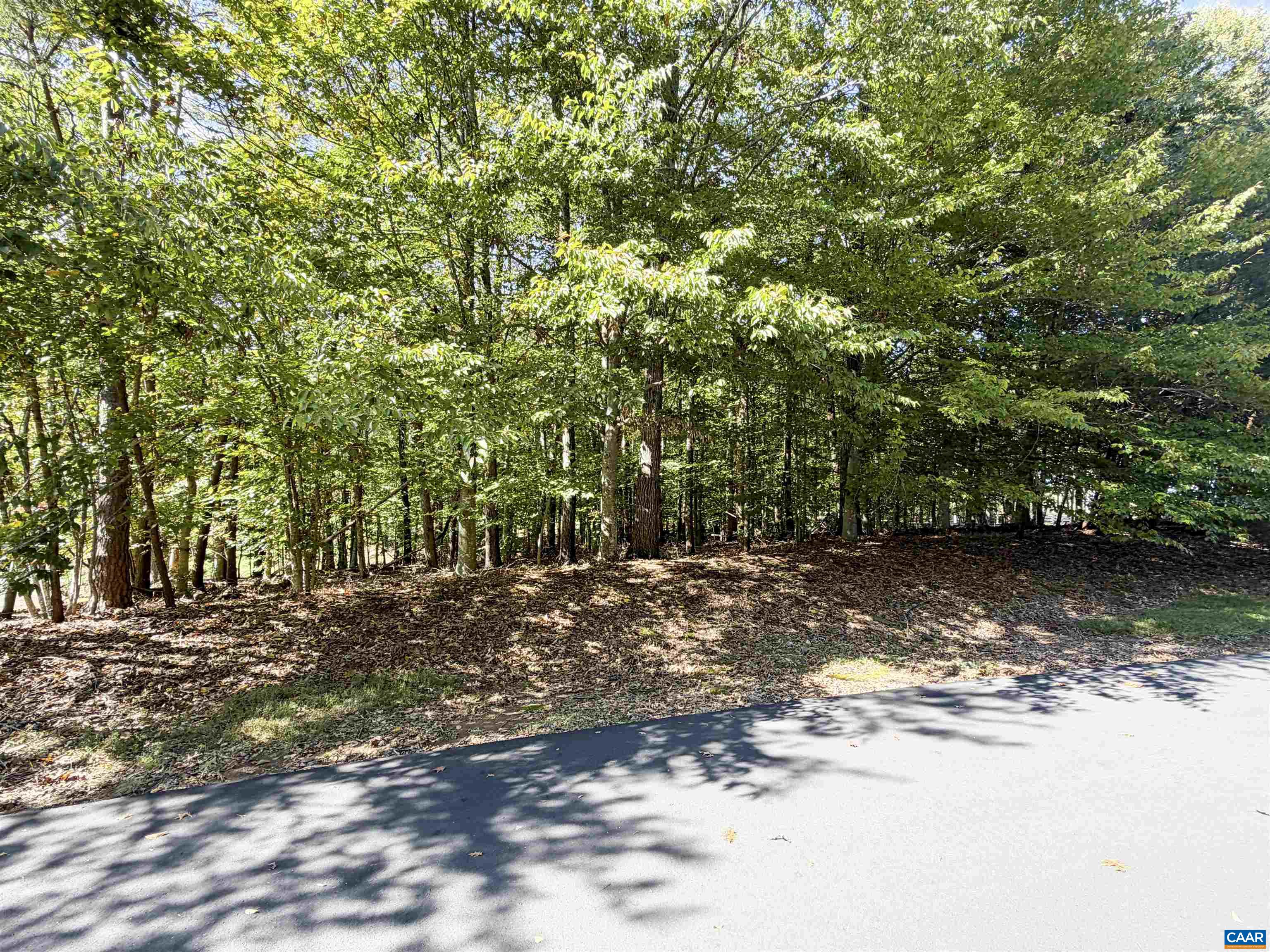 0 WELLESLEY KNLS, KESWICK, Virginia 22947, ,Land,0 WELLESLEY KNLS,682963 MLS # 682963