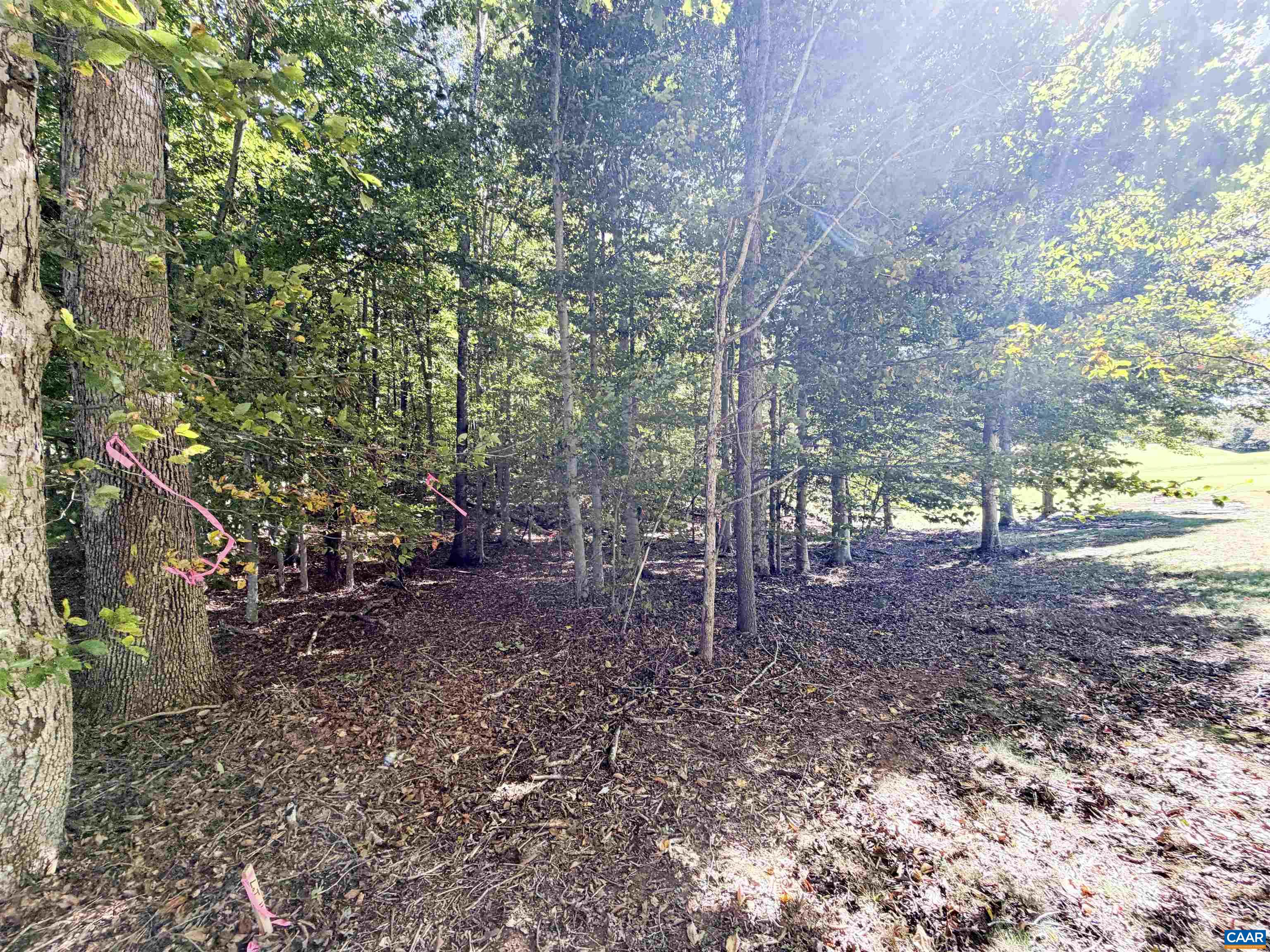 0 WELLESLEY KNLS, KESWICK, Virginia 22947, ,Land,0 WELLESLEY KNLS,682963 MLS # 682963