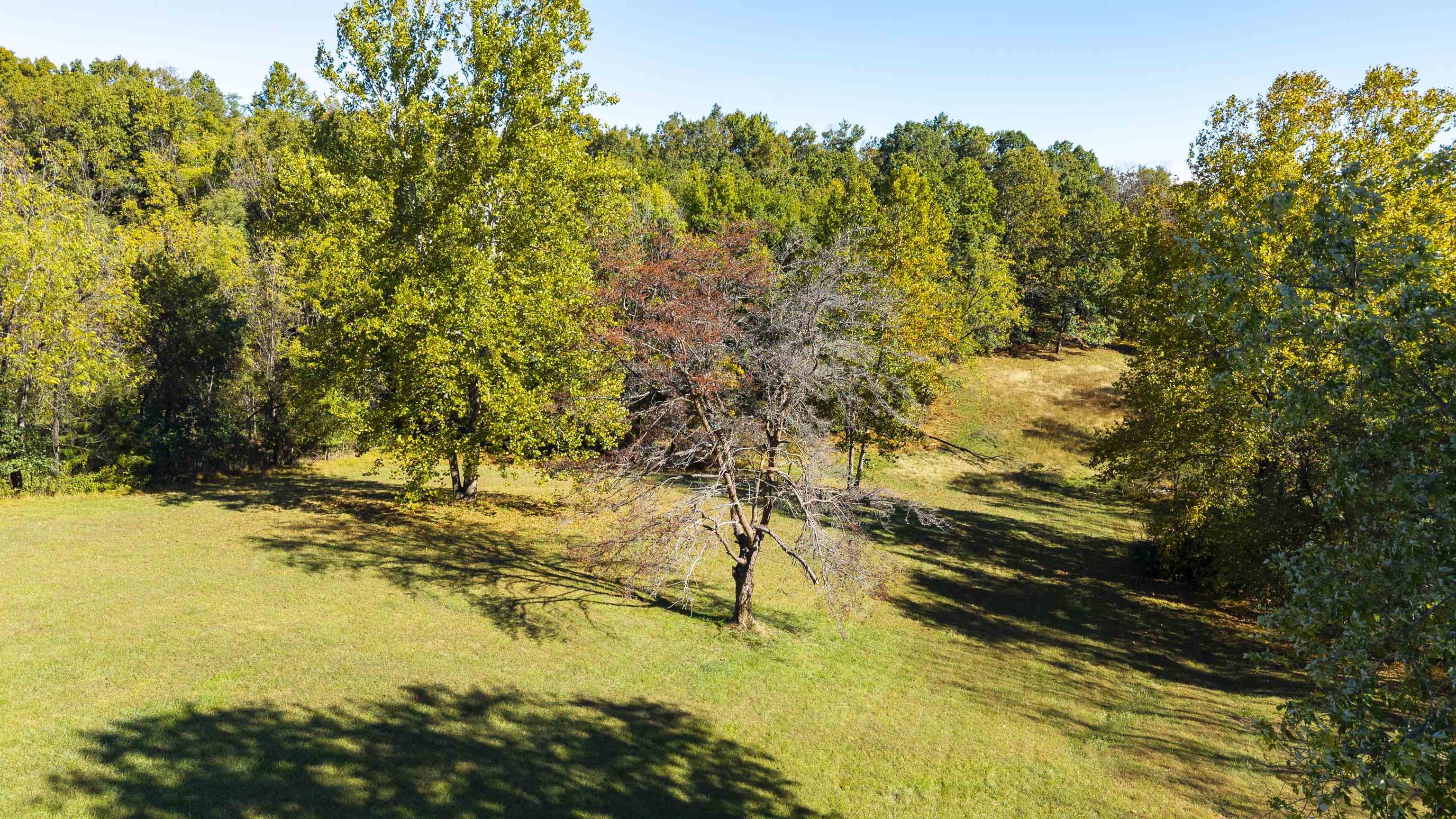 615 VINEGAR HILL RD, CHURCHVILLE, Virginia 24421, 3 Bedrooms Bedrooms, ,2 BathroomsBathrooms,Residential,615 VINEGAR HILL RD,682997 MLS # 682997