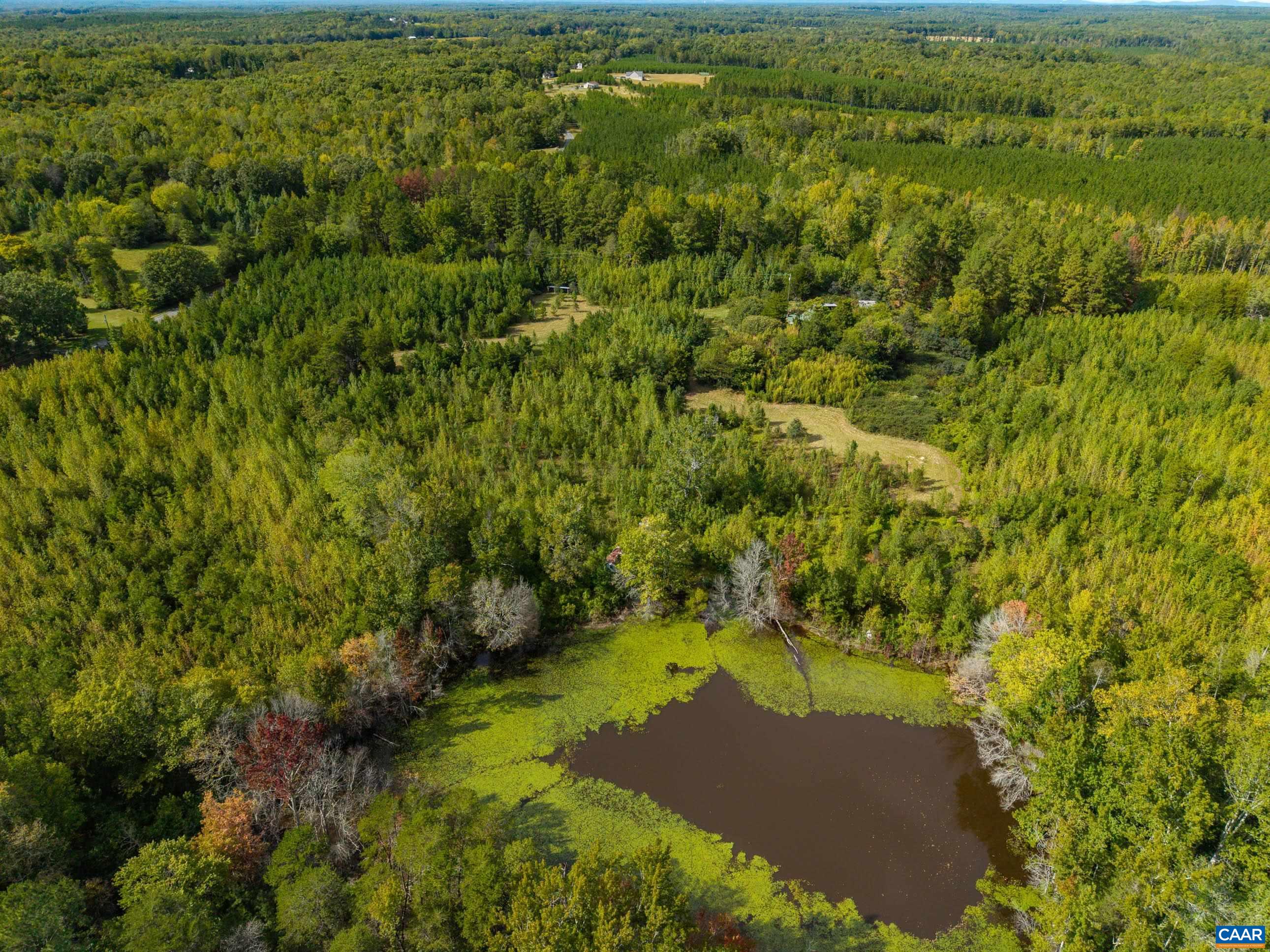 864 RISING SUN RD, PALMYRA, Virginia 22963, ,Land,864 RISING SUN RD,682923 MLS # 682923 864 RISING SUN RD, PALMYRA, Virginia 22963, ,Land,864 RISING SUN RD,682923 MLS # 682923