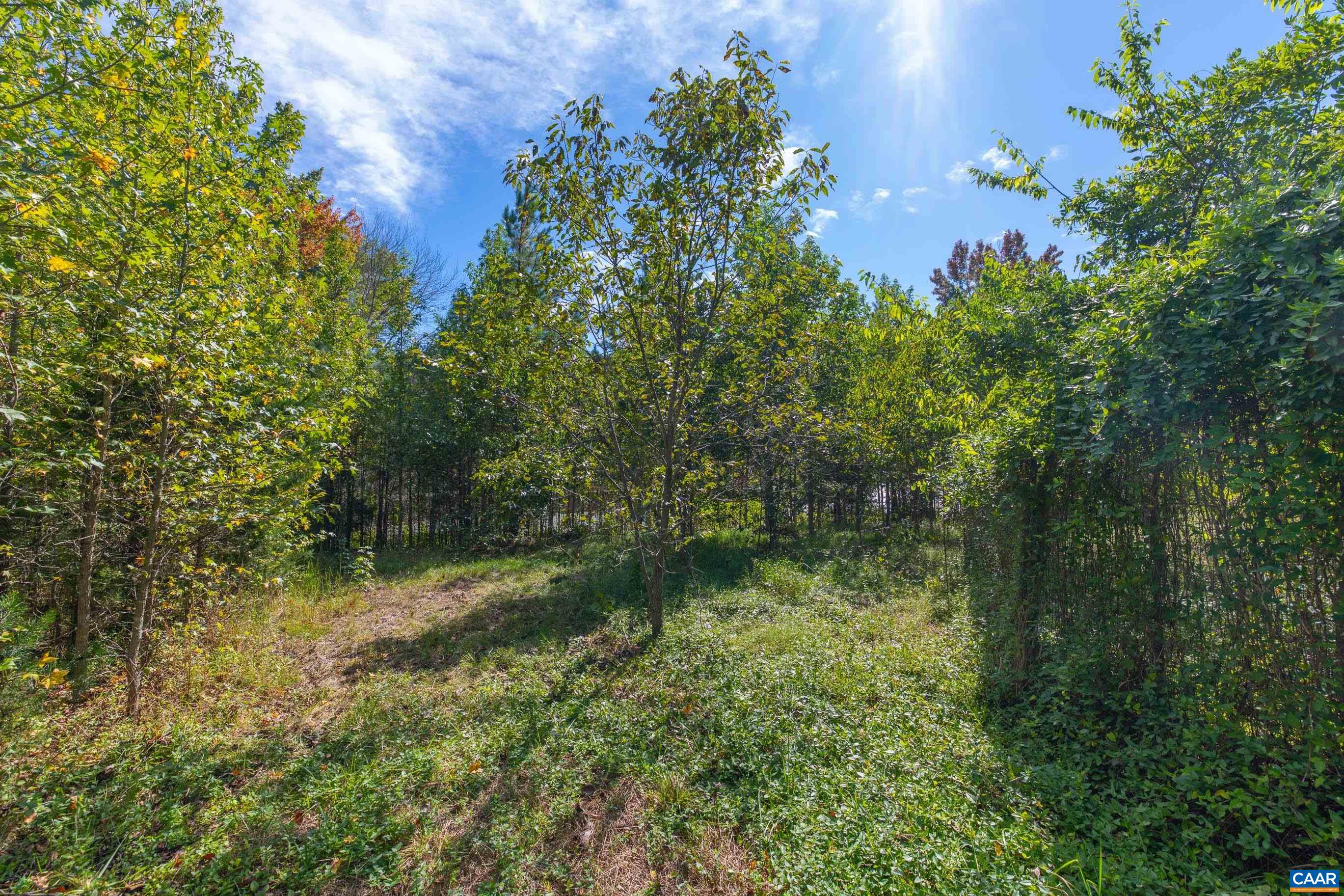 864 RISING SUN RD, PALMYRA, Virginia 22963, ,Land,864 RISING SUN RD,682923 MLS # 682923
