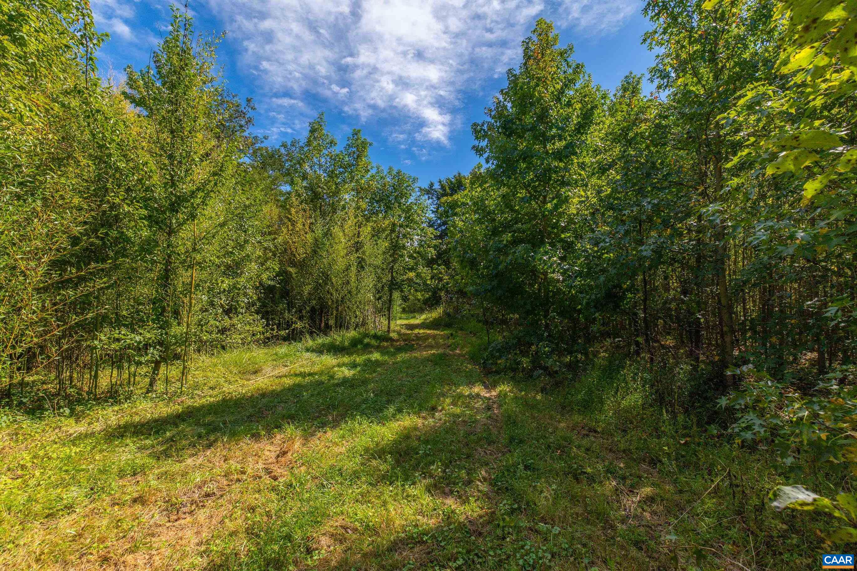 864 RISING SUN RD, PALMYRA, Virginia 22963, ,Land,864 RISING SUN RD,682923 MLS # 682923
