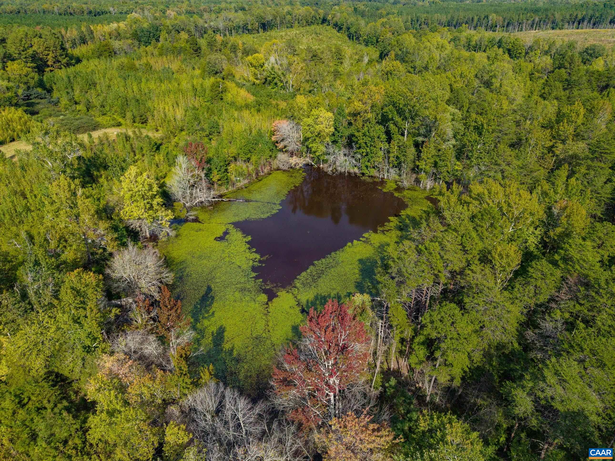864 RISING SUN RD, PALMYRA, Virginia 22963, ,Land,864 RISING SUN RD,682923 MLS # 682923
