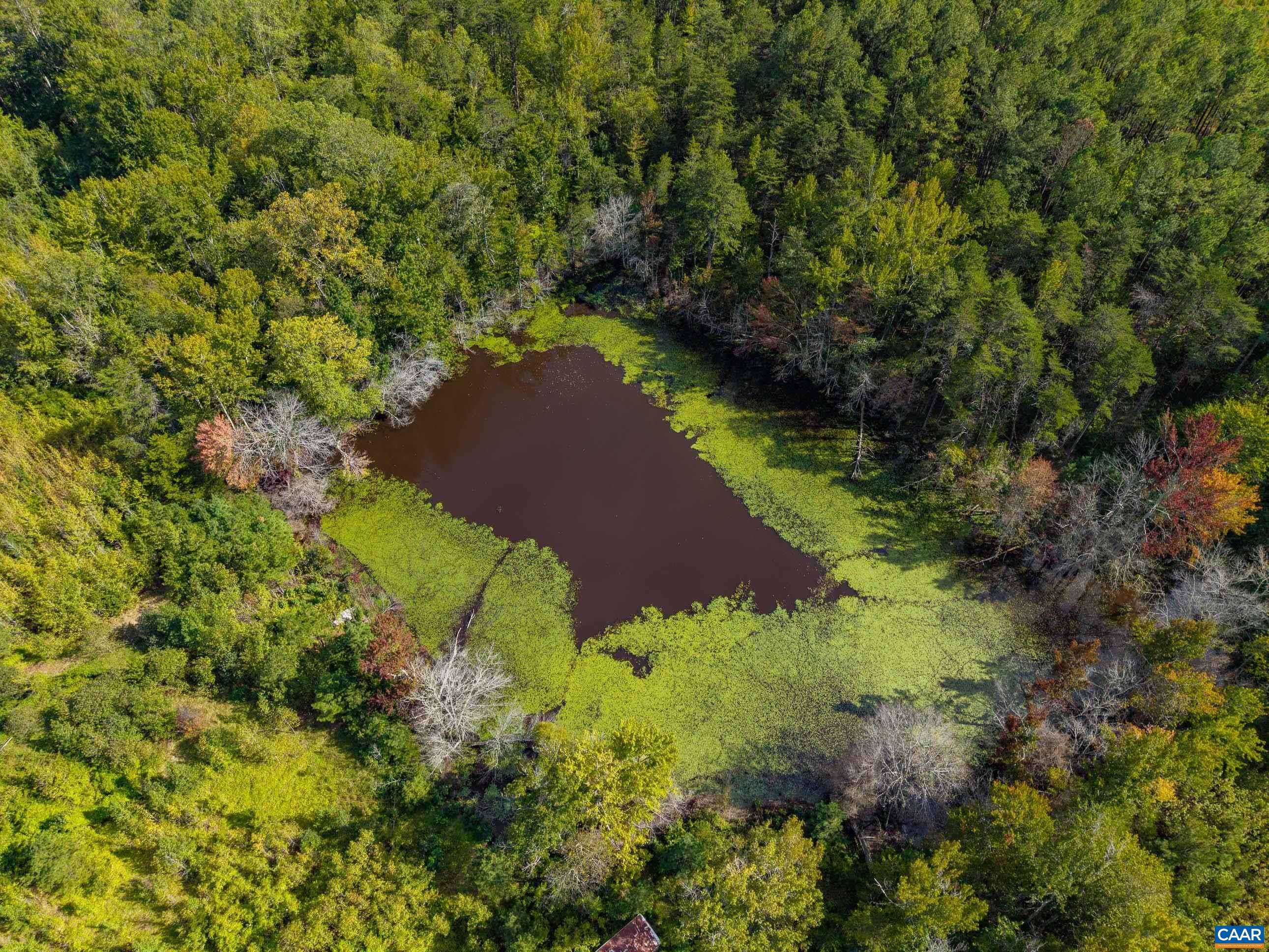 864 RISING SUN RD, PALMYRA, Virginia 22963, ,Land,864 RISING SUN RD,682923 MLS # 682923