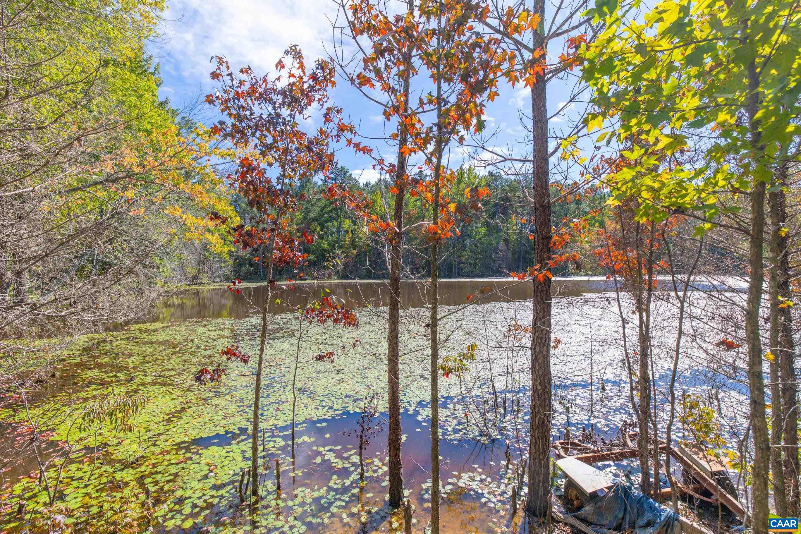 864 RISING SUN RD, PALMYRA, Virginia 22963, ,Land,864 RISING SUN RD,682923 MLS # 682923