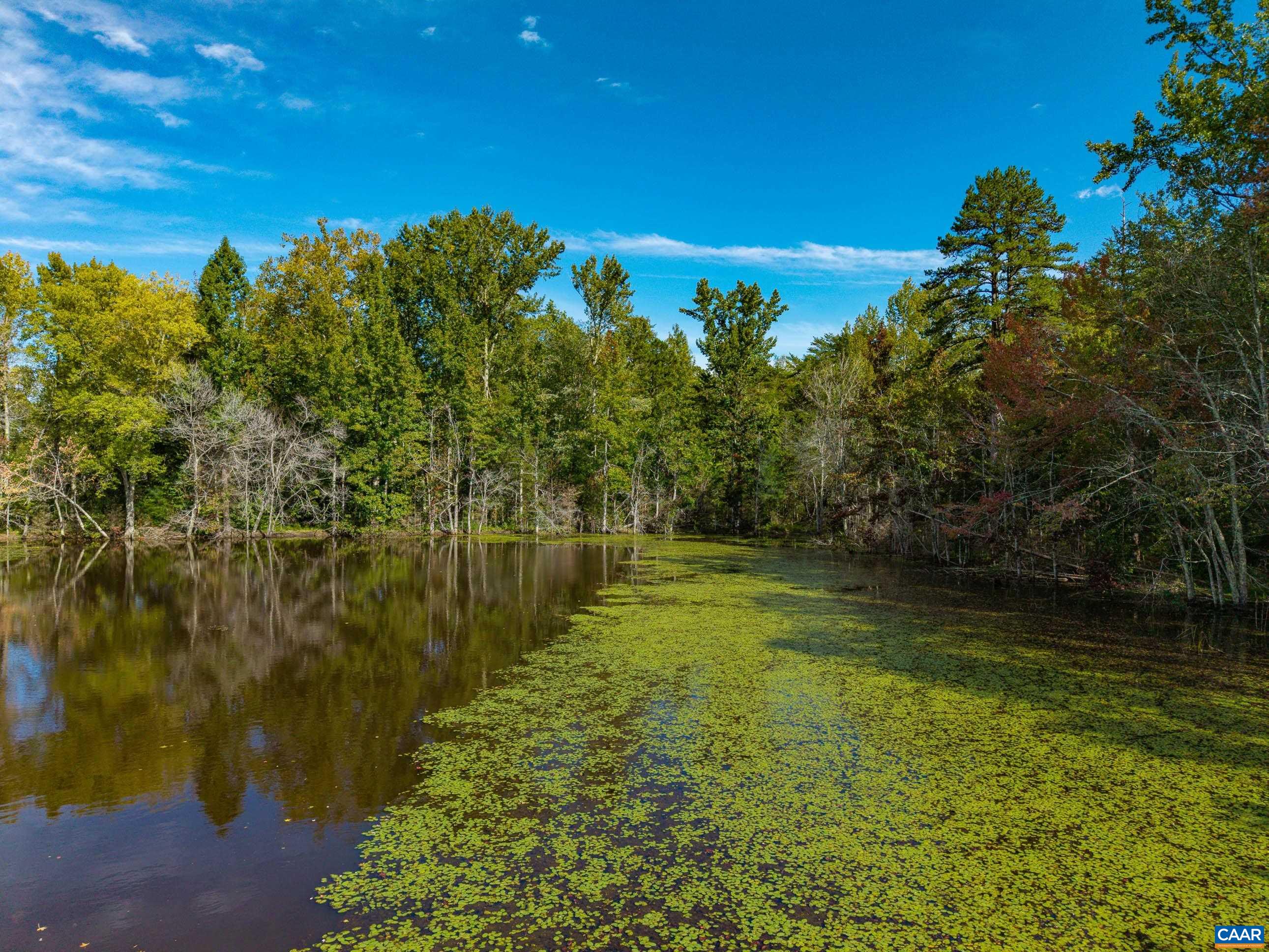 864 RISING SUN RD, PALMYRA, Virginia 22963, ,Land,864 RISING SUN RD,682923 MLS # 682923