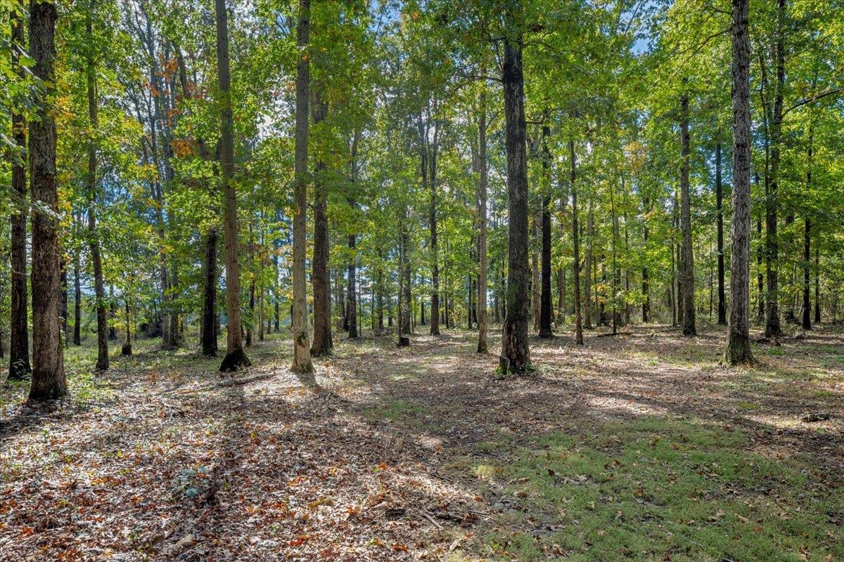 1401 YAGERS RD, LURAY, Virginia 22835, 3 Bedrooms Bedrooms, ,3 BathroomsBathrooms,Residential,1401 YAGERS RD,682873 MLS # 682873 1401 YAGERS RD, LURAY, Virginia 22835, 3 Bedrooms Bedrooms, ,3 BathroomsBathrooms,Residential,1401 YAGERS RD,682873 MLS # 682873