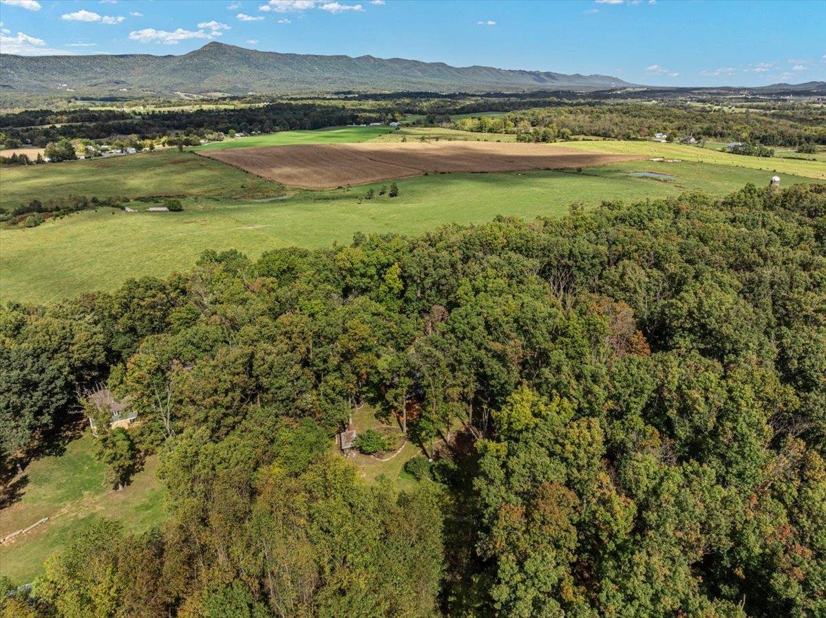 1401 YAGERS RD, LURAY, Virginia 22835, 3 Bedrooms Bedrooms, ,3 BathroomsBathrooms,Residential,1401 YAGERS RD,682873 MLS # 682873 1401 YAGERS RD, LURAY, Virginia 22835, 3 Bedrooms Bedrooms, ,3 BathroomsBathrooms,Residential,1401 YAGERS RD,682873 MLS # 682873