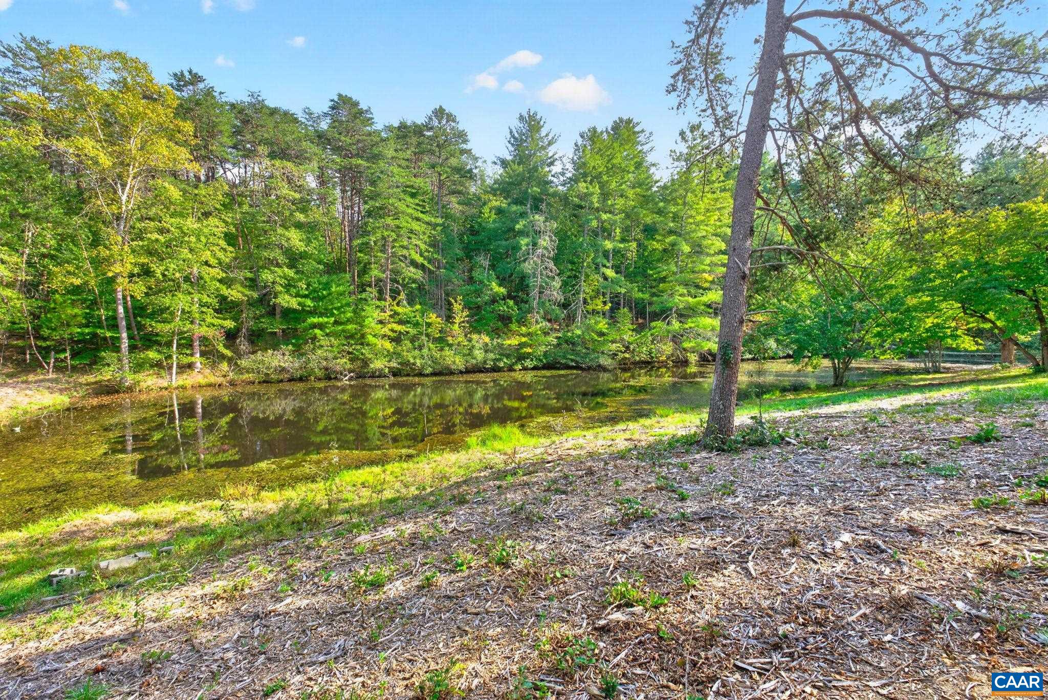 3155 BUCK ISLAND RD, CHARLOTTESVILLE, Virginia 22903, 3 Bedrooms Bedrooms, ,3 BathroomsBathrooms,Residential,3155 BUCK ISLAND RD,682898 MLS # 682898 3155 BUCK ISLAND RD, CHARLOTTESVILLE, Virginia 22903, 3 Bedrooms Bedrooms, ,3 BathroomsBathrooms,Residential,3155 BUCK ISLAND RD,682898 MLS # 682898