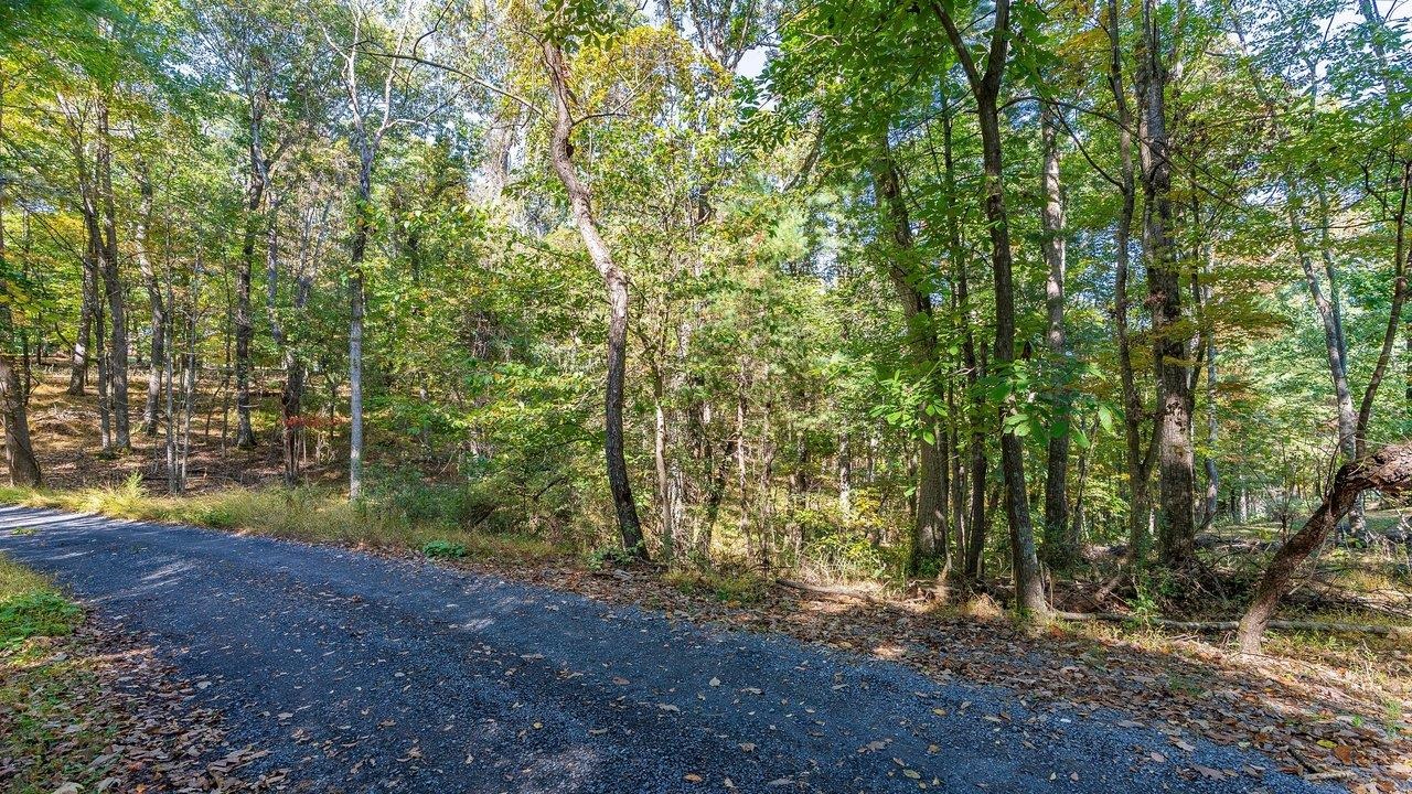 TBD WHITE TAIL LN, MOUNT JACKSON, Virginia 22842, ,Land,TBD WHITE TAIL LN,682999 MLS # 682999 TBD WHITE TAIL LN, MOUNT JACKSON, Virginia 22842, ,Land,TBD WHITE TAIL LN,682999 MLS # 682999