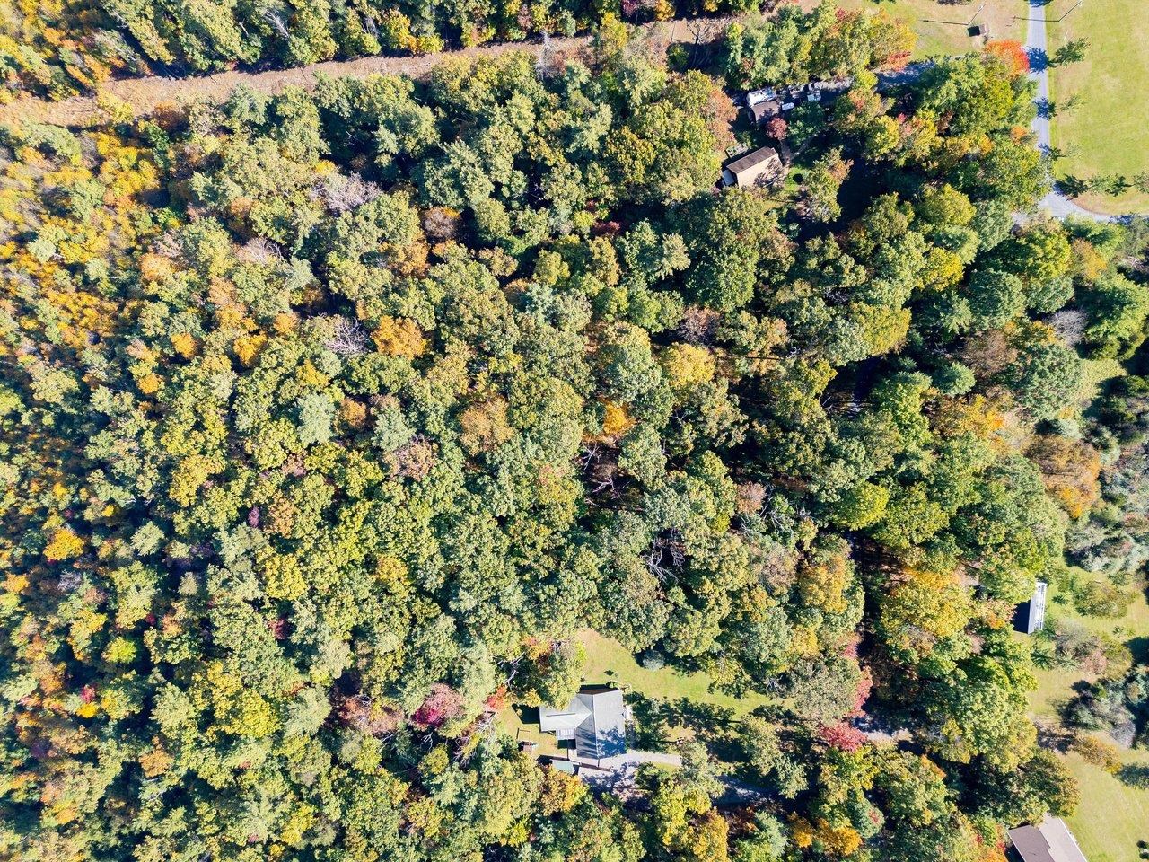 TBD WHITE TAIL LN, MOUNT JACKSON, Virginia 22842, ,Land,TBD WHITE TAIL LN,682999 MLS # 682999 TBD WHITE TAIL LN, MOUNT JACKSON, Virginia 22842, ,Land,TBD WHITE TAIL LN,682999 MLS # 682999