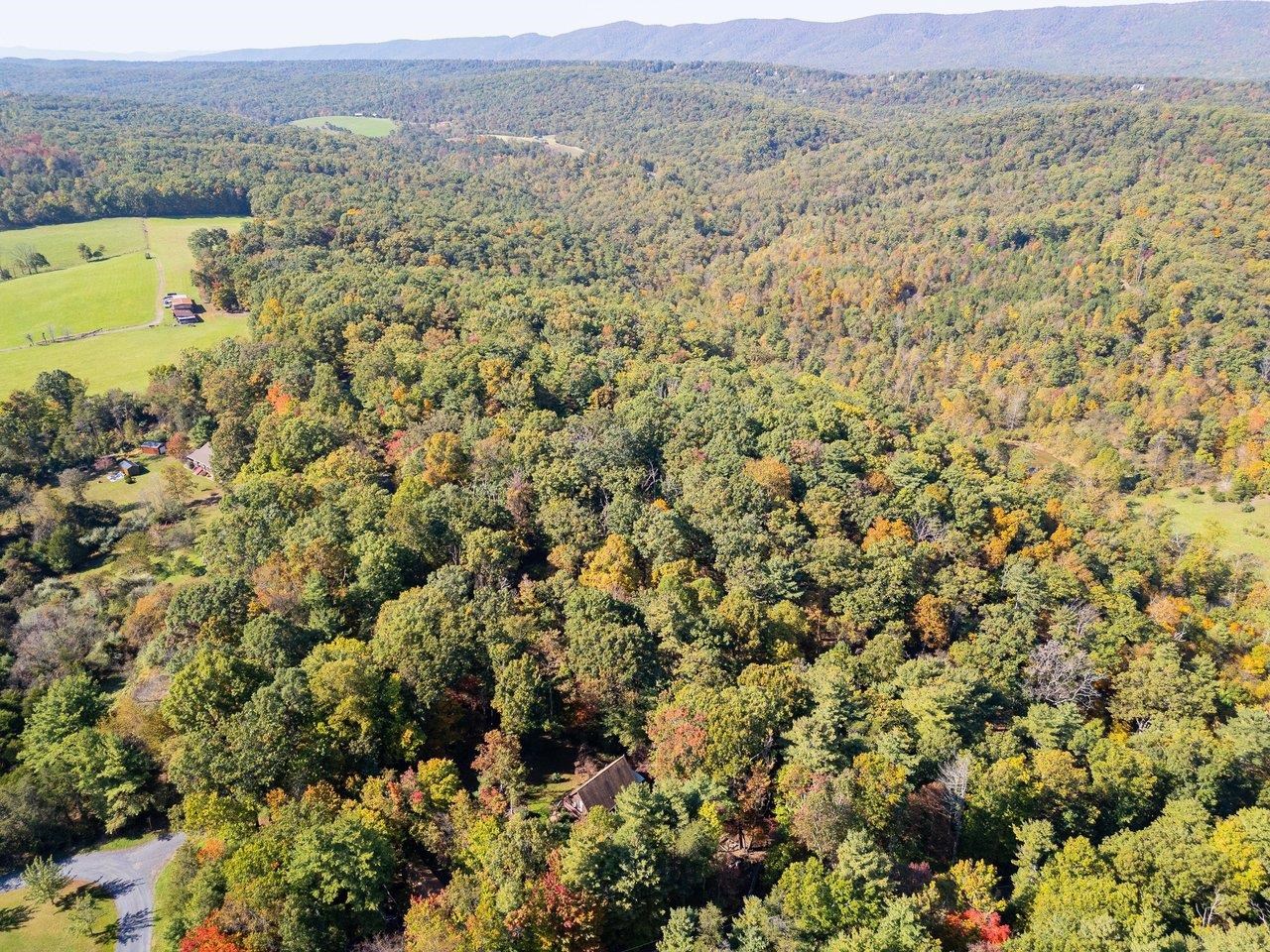 TBD WHITE TAIL LN, MOUNT JACKSON, Virginia 22842, ,Land,TBD WHITE TAIL LN,682999 MLS # 682999 TBD WHITE TAIL LN, MOUNT JACKSON, Virginia 22842, ,Land,TBD WHITE TAIL LN,682999 MLS # 682999