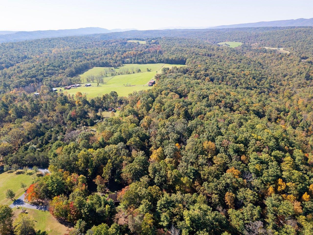 TBD WHITE TAIL LN, MOUNT JACKSON, Virginia 22842, ,Land,TBD WHITE TAIL LN,682999 MLS # 682999 TBD WHITE TAIL LN, MOUNT JACKSON, Virginia 22842, ,Land,TBD WHITE TAIL LN,682999 MLS # 682999