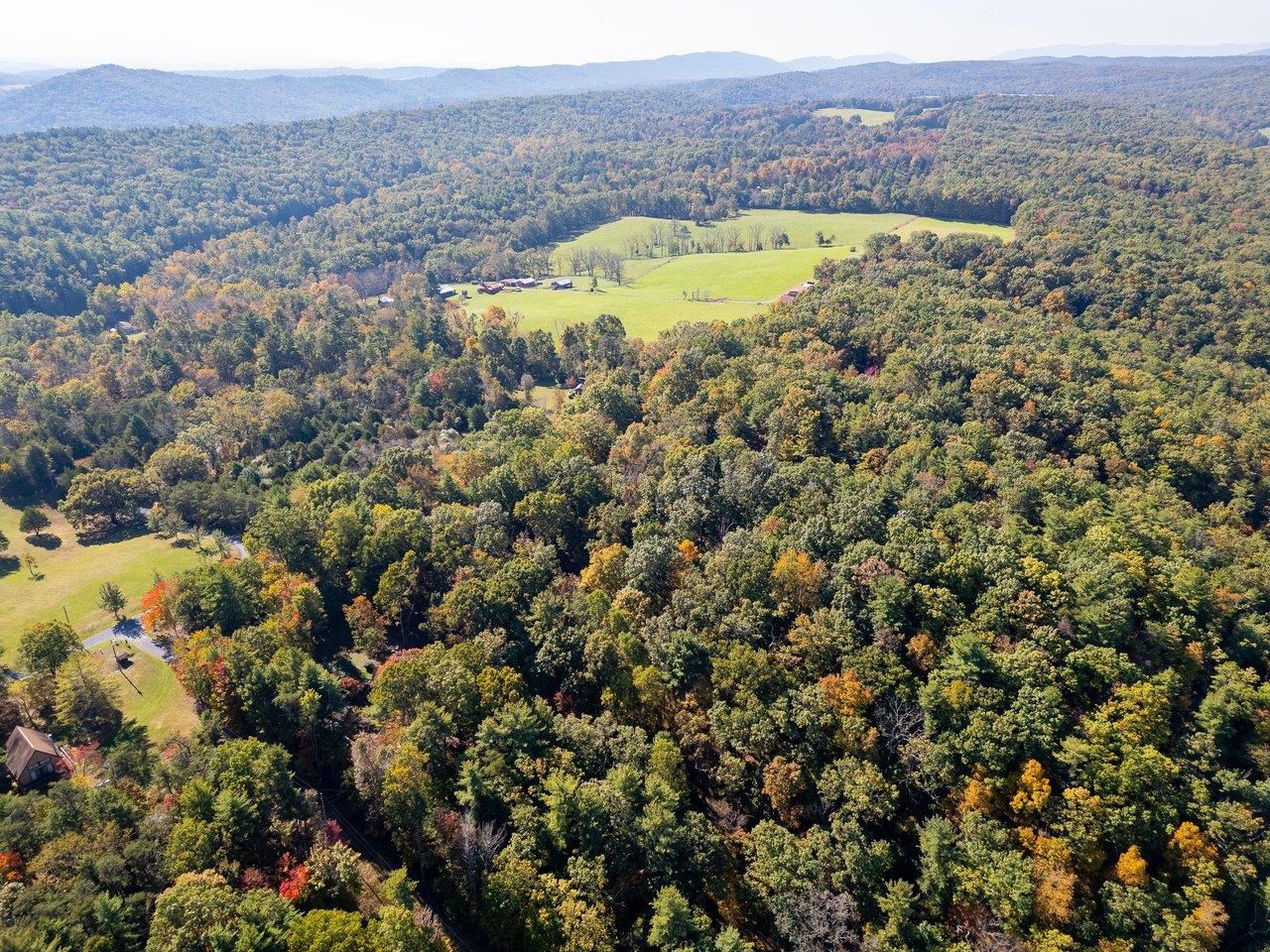 TBD WHITE TAIL LN, MOUNT JACKSON, Virginia 22842, ,Land,TBD WHITE TAIL LN,682999 MLS # 682999 TBD WHITE TAIL LN, MOUNT JACKSON, Virginia 22842, ,Land,TBD WHITE TAIL LN,682999 MLS # 682999
