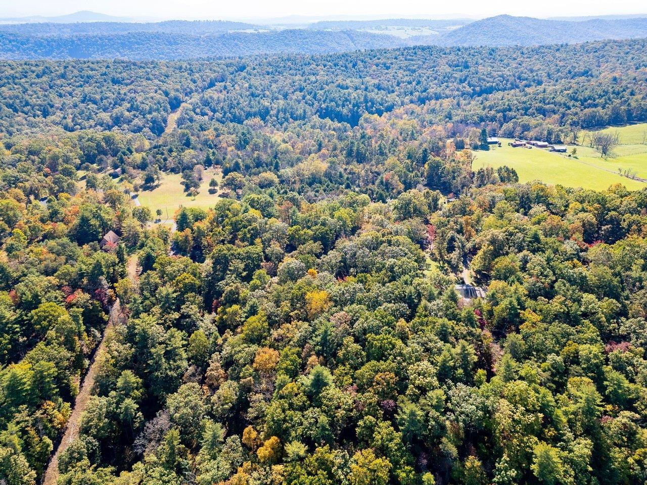TBD WHITE TAIL LN, MOUNT JACKSON, Virginia 22842, ,Land,TBD WHITE TAIL LN,682999 MLS # 682999 TBD WHITE TAIL LN, MOUNT JACKSON, Virginia 22842, ,Land,TBD WHITE TAIL LN,682999 MLS # 682999