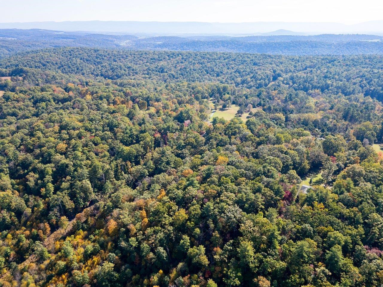 TBD WHITE TAIL LN, MOUNT JACKSON, Virginia 22842, ,Land,TBD WHITE TAIL LN,682999 MLS # 682999 TBD WHITE TAIL LN, MOUNT JACKSON, Virginia 22842, ,Land,TBD WHITE TAIL LN,682999 MLS # 682999