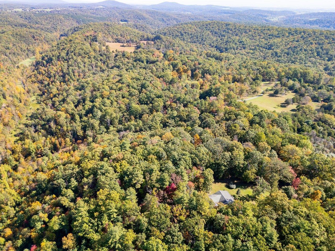 TBD WHITE TAIL LN, MOUNT JACKSON, Virginia 22842, ,Land,TBD WHITE TAIL LN,682999 MLS # 682999 TBD WHITE TAIL LN, MOUNT JACKSON, Virginia 22842, ,Land,TBD WHITE TAIL LN,682999 MLS # 682999